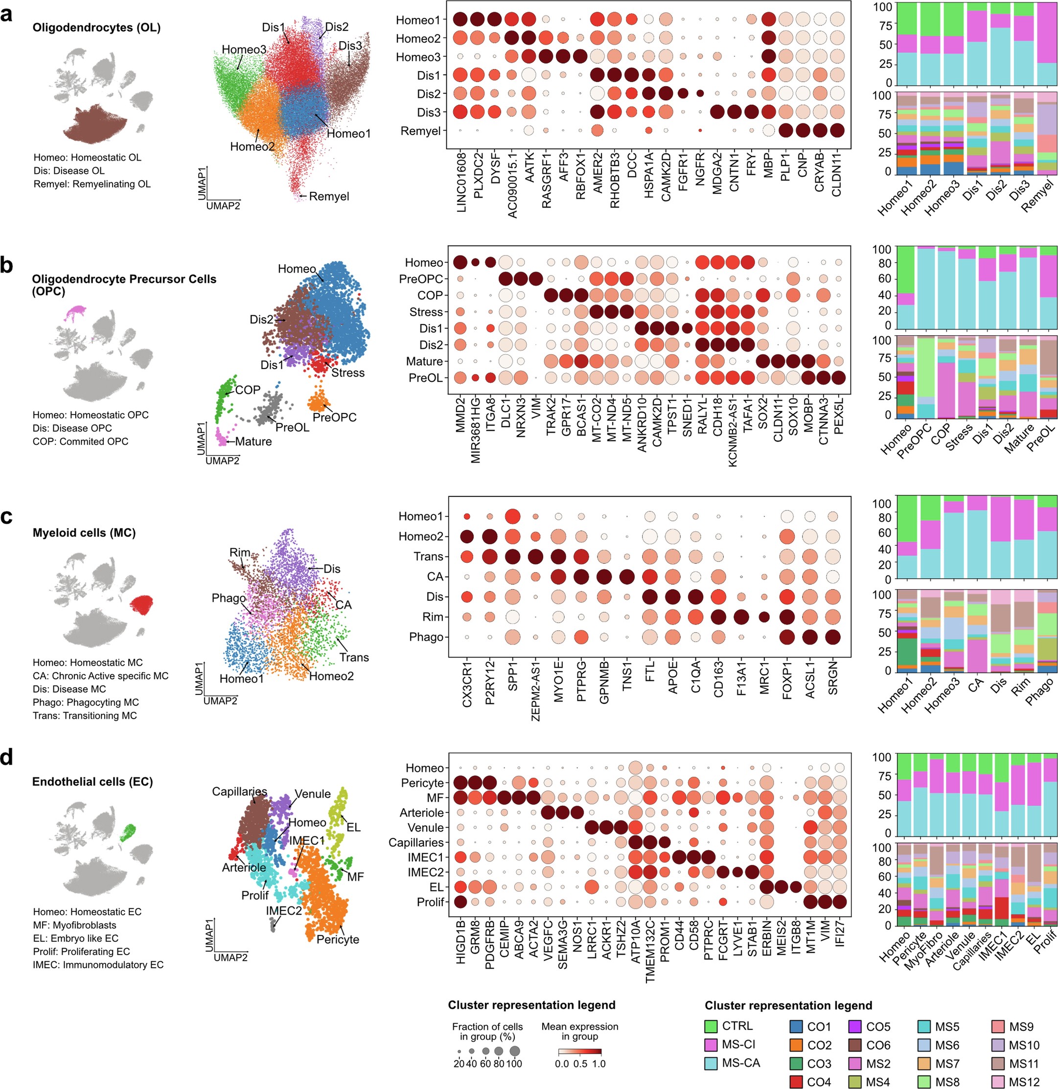 Extended Data Fig. 2: Cell subtype annotation across cell types.