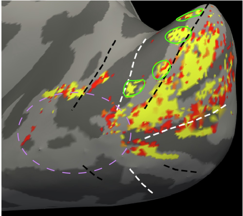 Extended Data Fig. 7