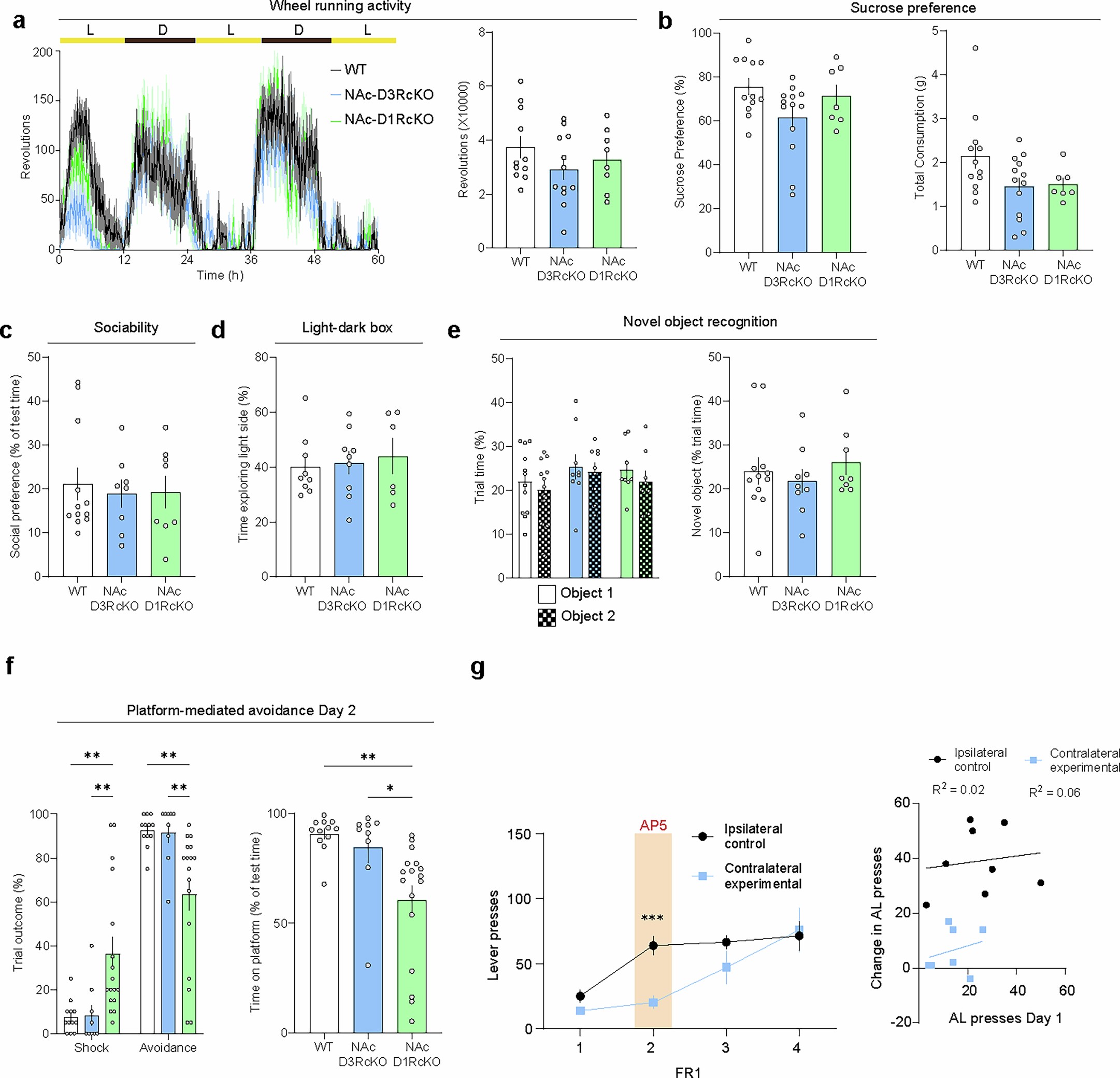 Extended Data Fig. 8: cKO of mNAcSh D1Rs do not disrupt motivated, anxiety-like or social reward or sucrose preference.