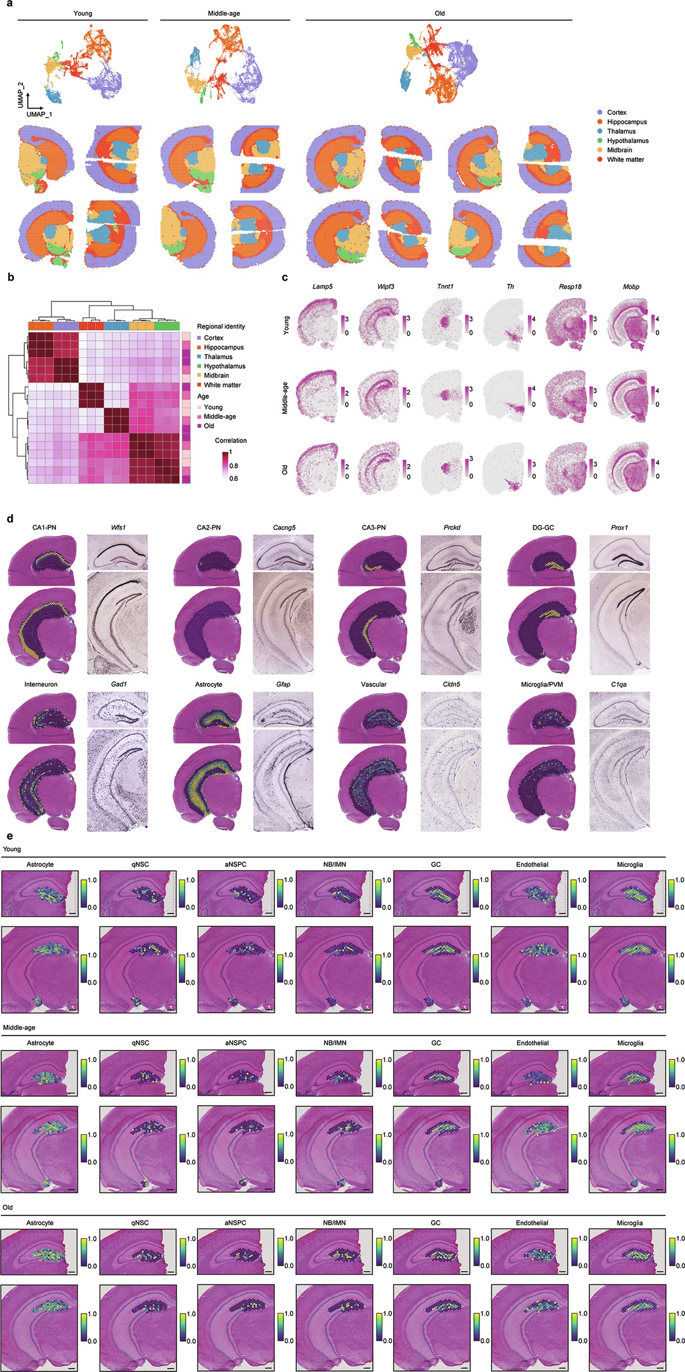 Extended Data Fig. 2