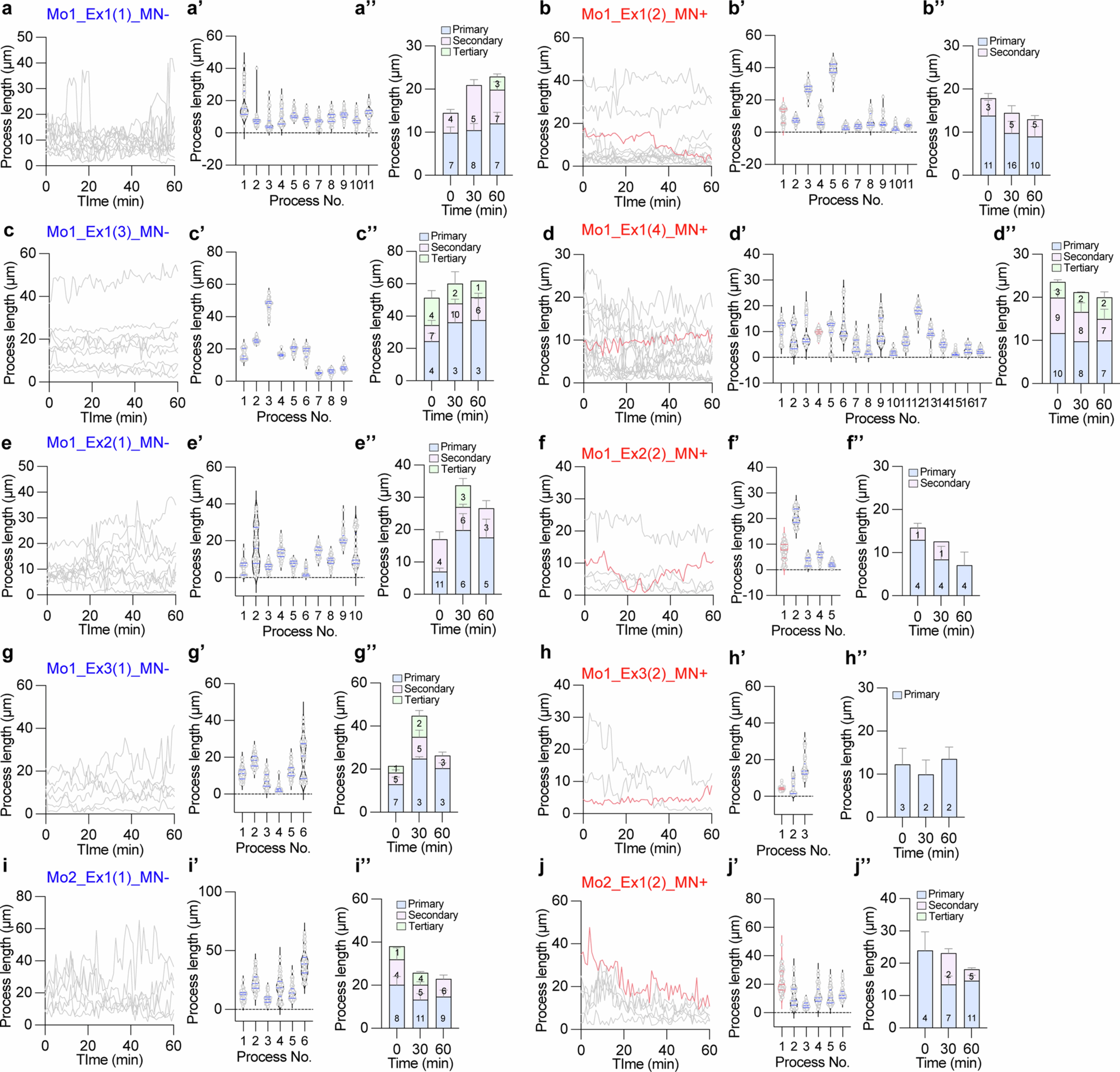 Extended Data Fig. 6: Two-photon imaging of microglial dynamics obtained from two distinct mice.