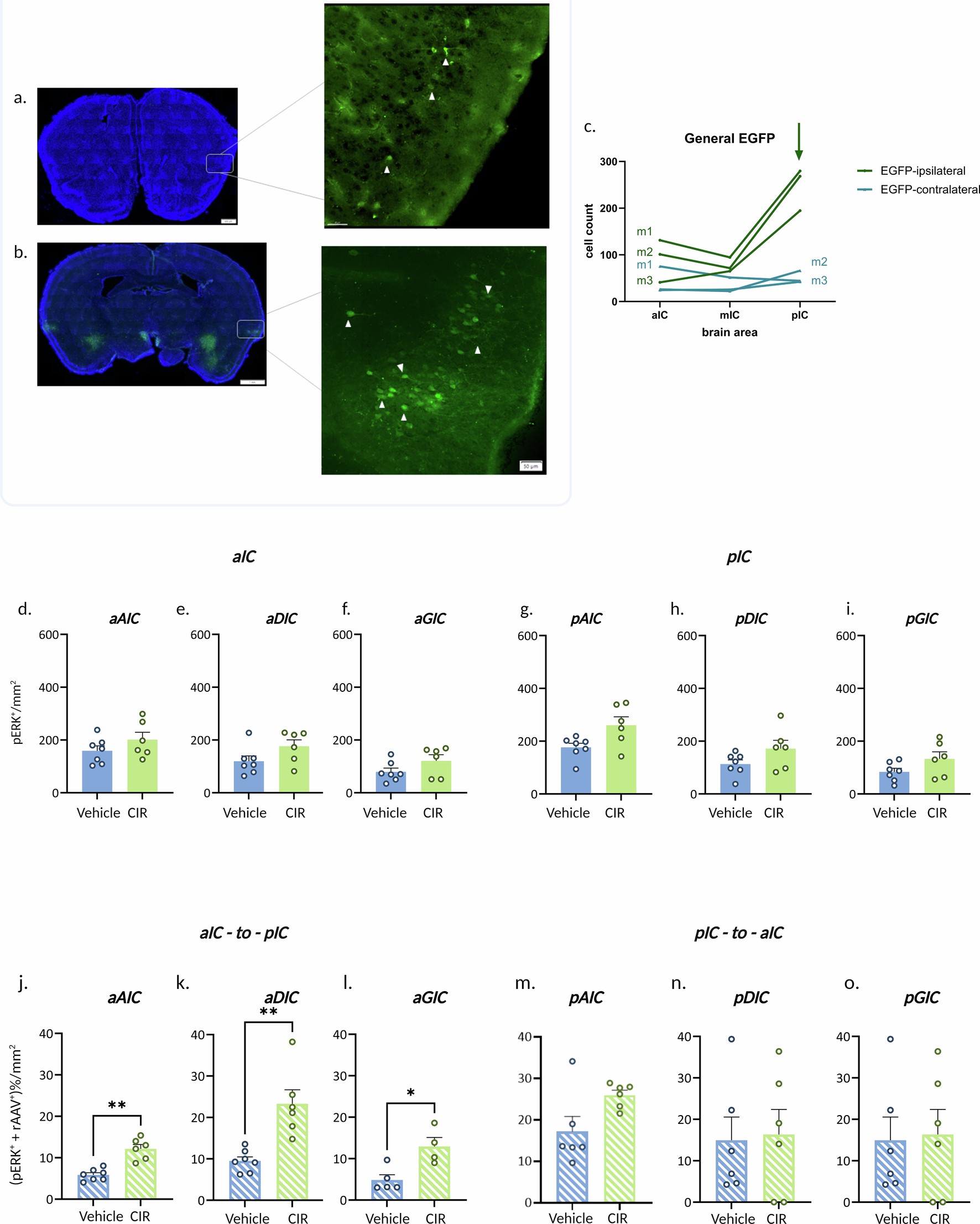 Extended Data Fig. 2