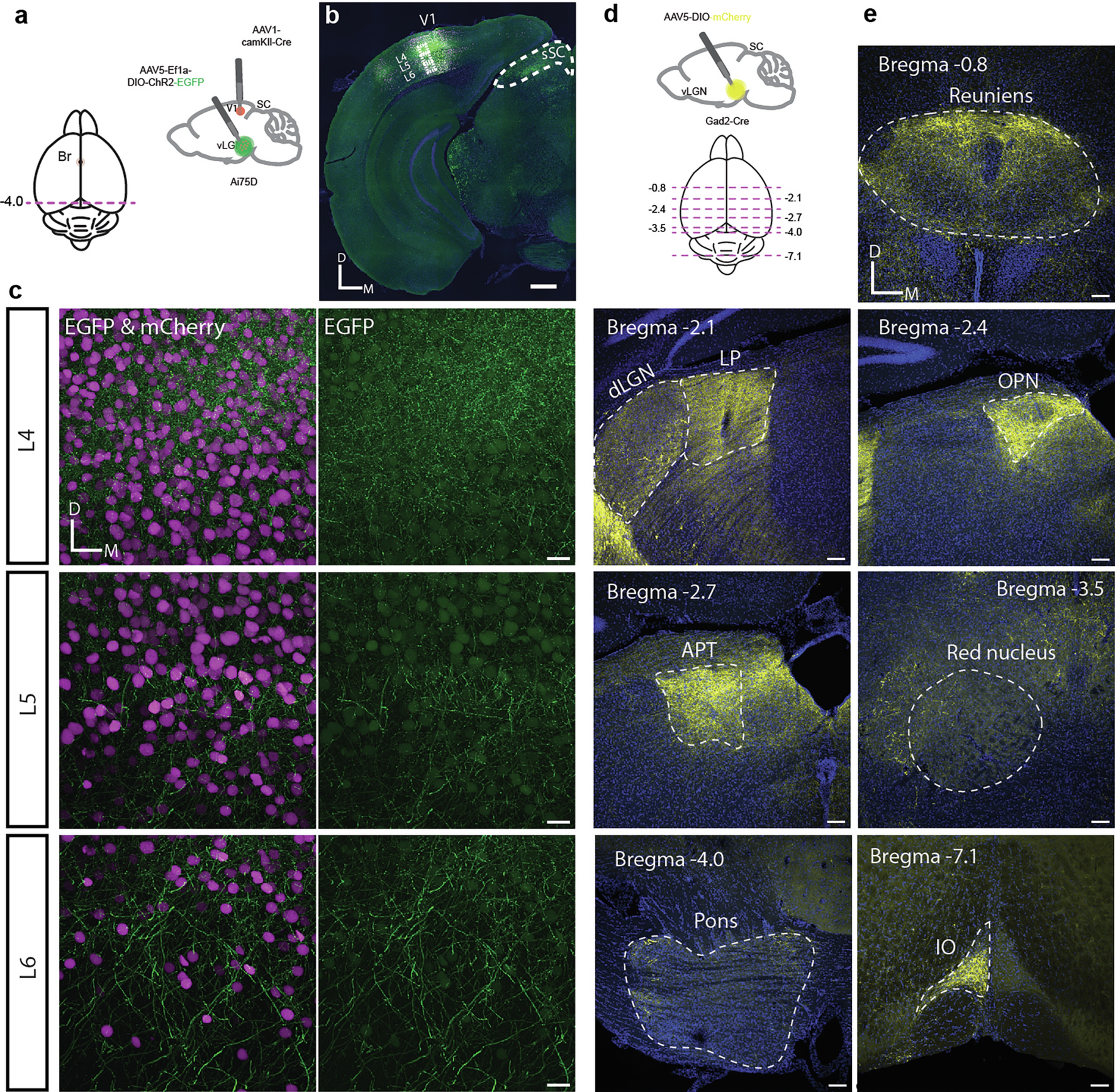 Extended Data Fig. 7