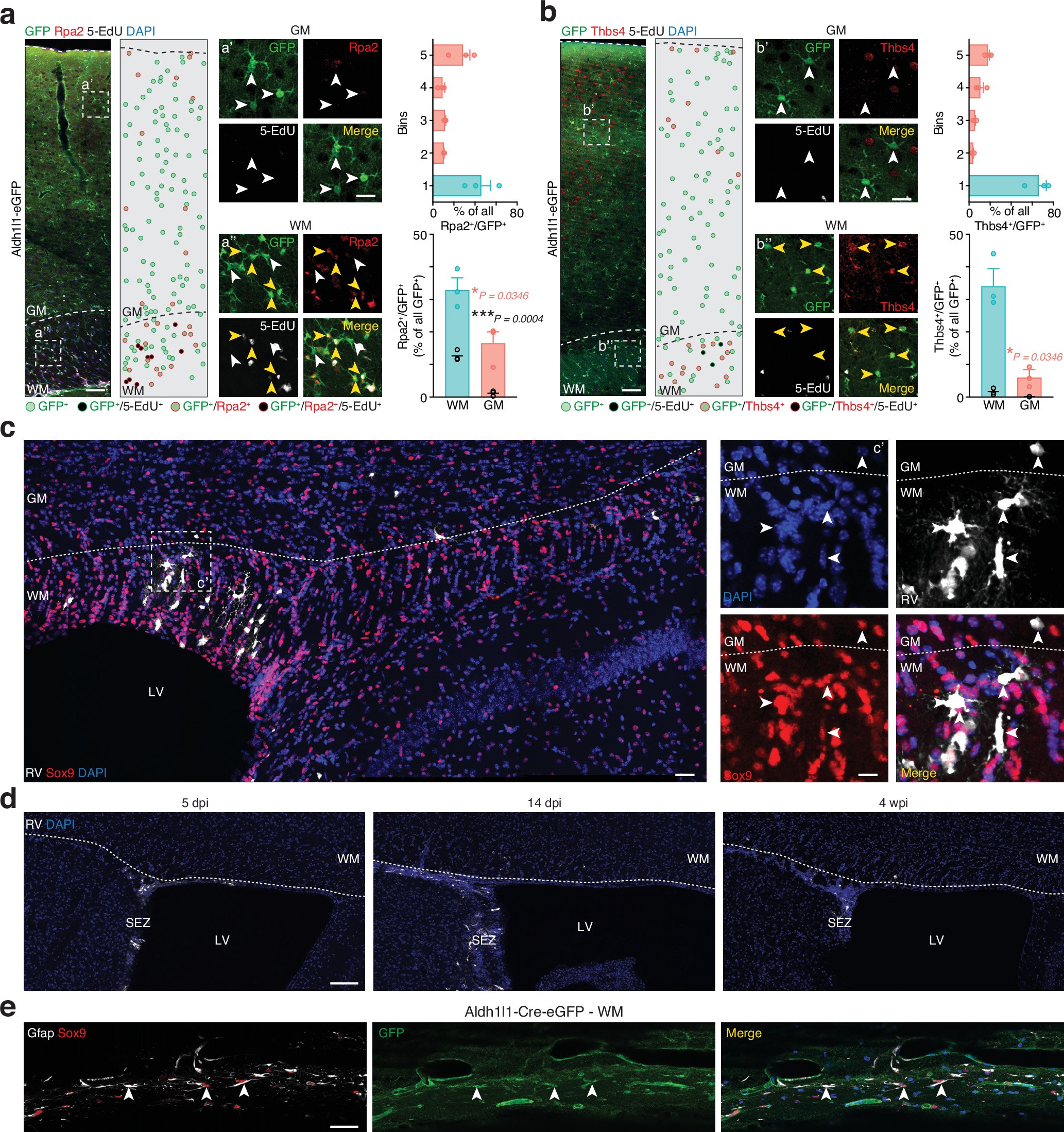 Extended Data Fig. 7