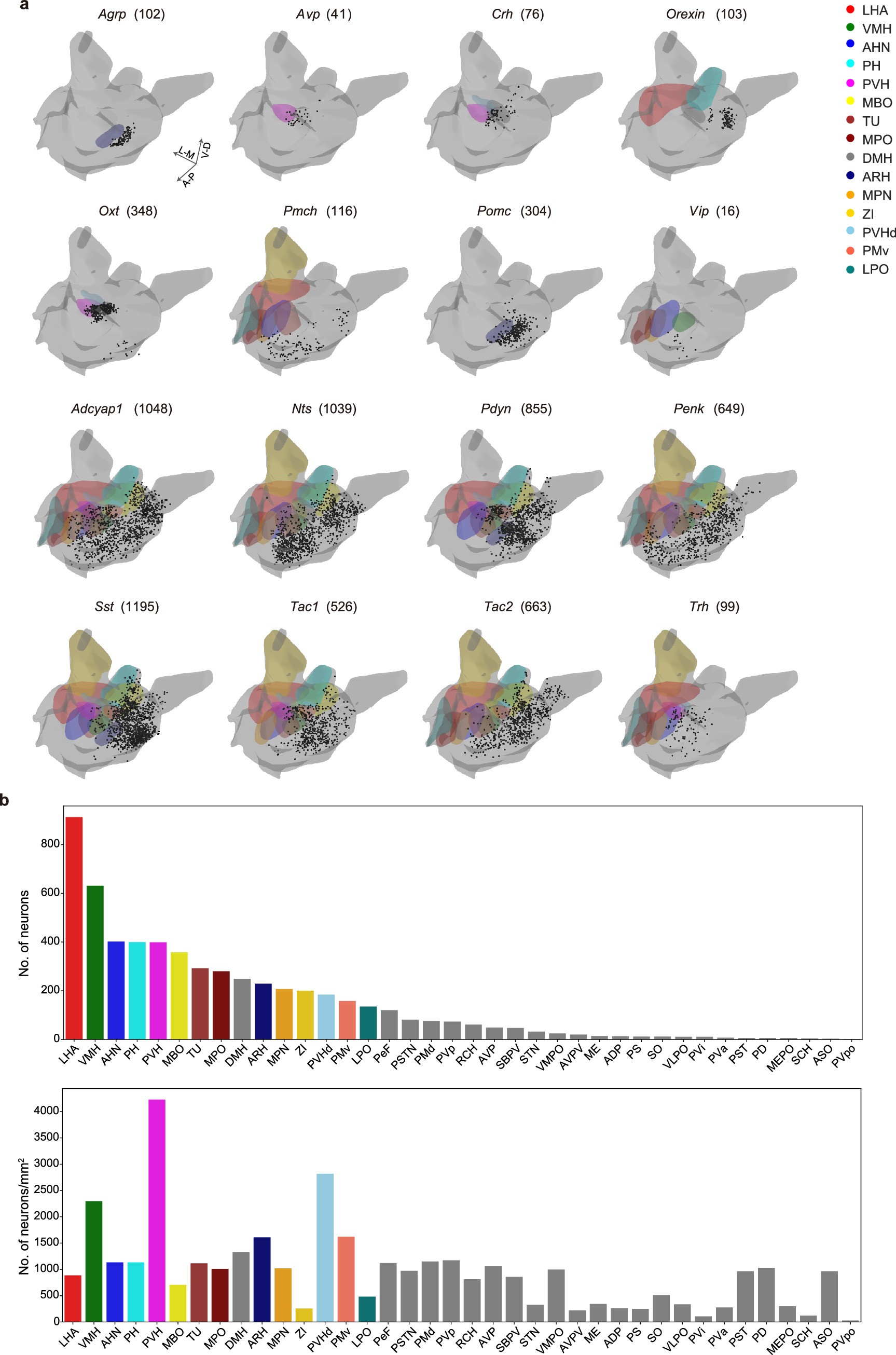 Extended Data Fig. 2: Soma distribution of each peptidergic population.