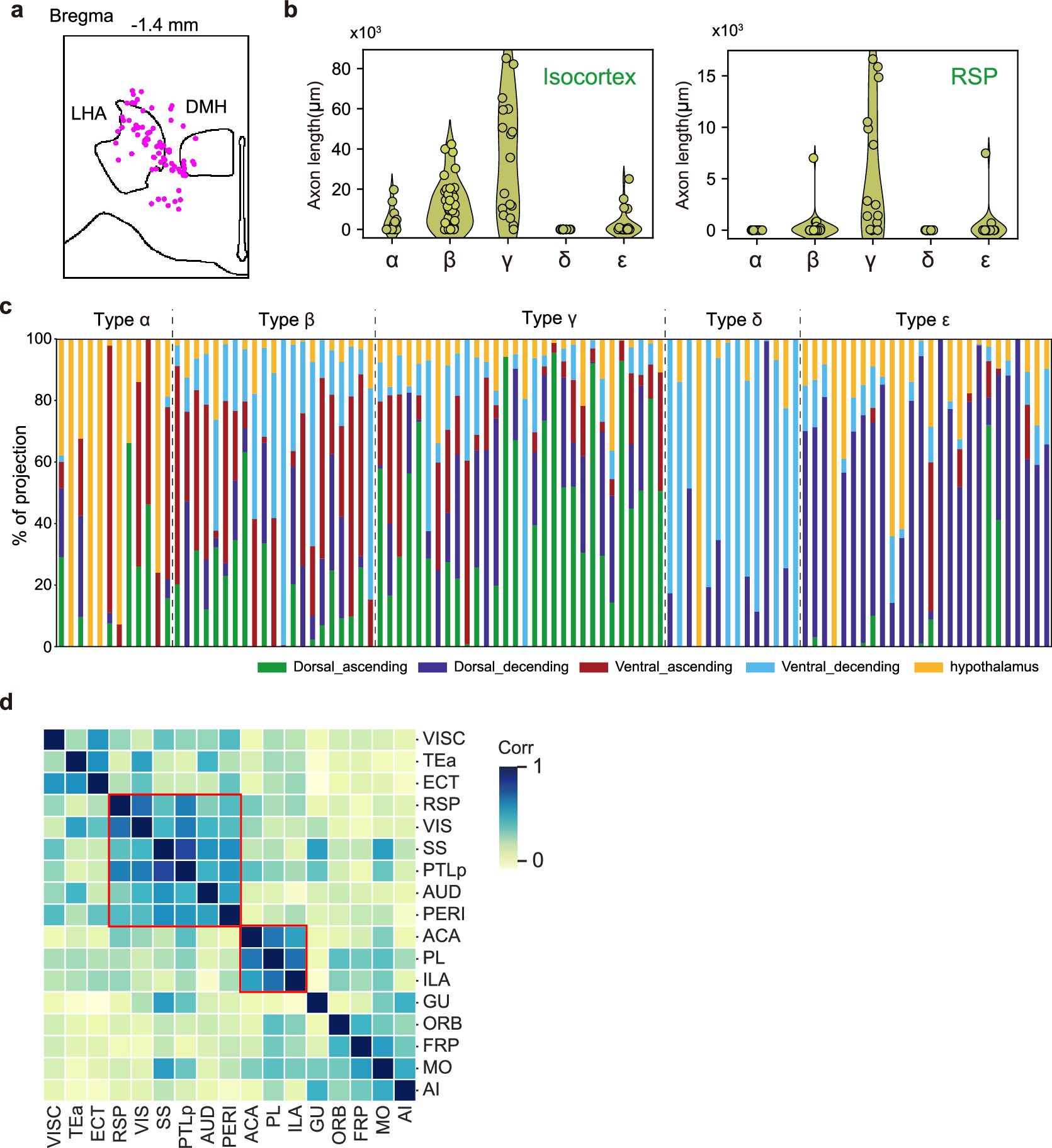 Extended Data Fig. 8: Characteristics of projectome-defined Orexin neuron types.