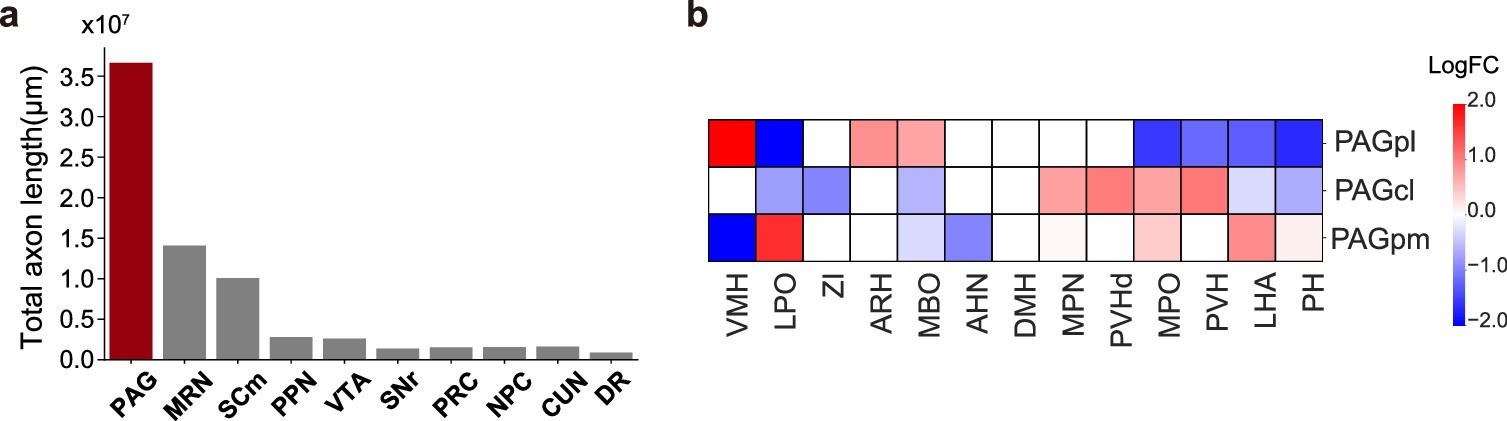 Extended Data Fig. 10: Prominent PAG projections from hypothalamic Peptidergic Neurons to PAG.