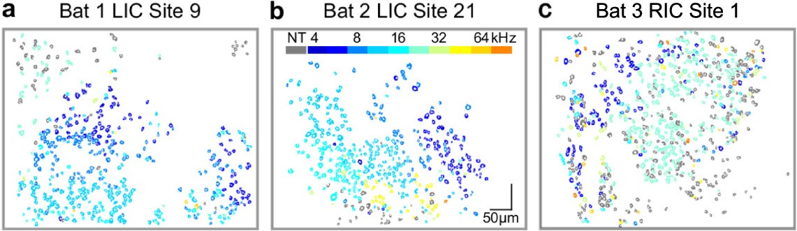 Extended Data Fig. 3