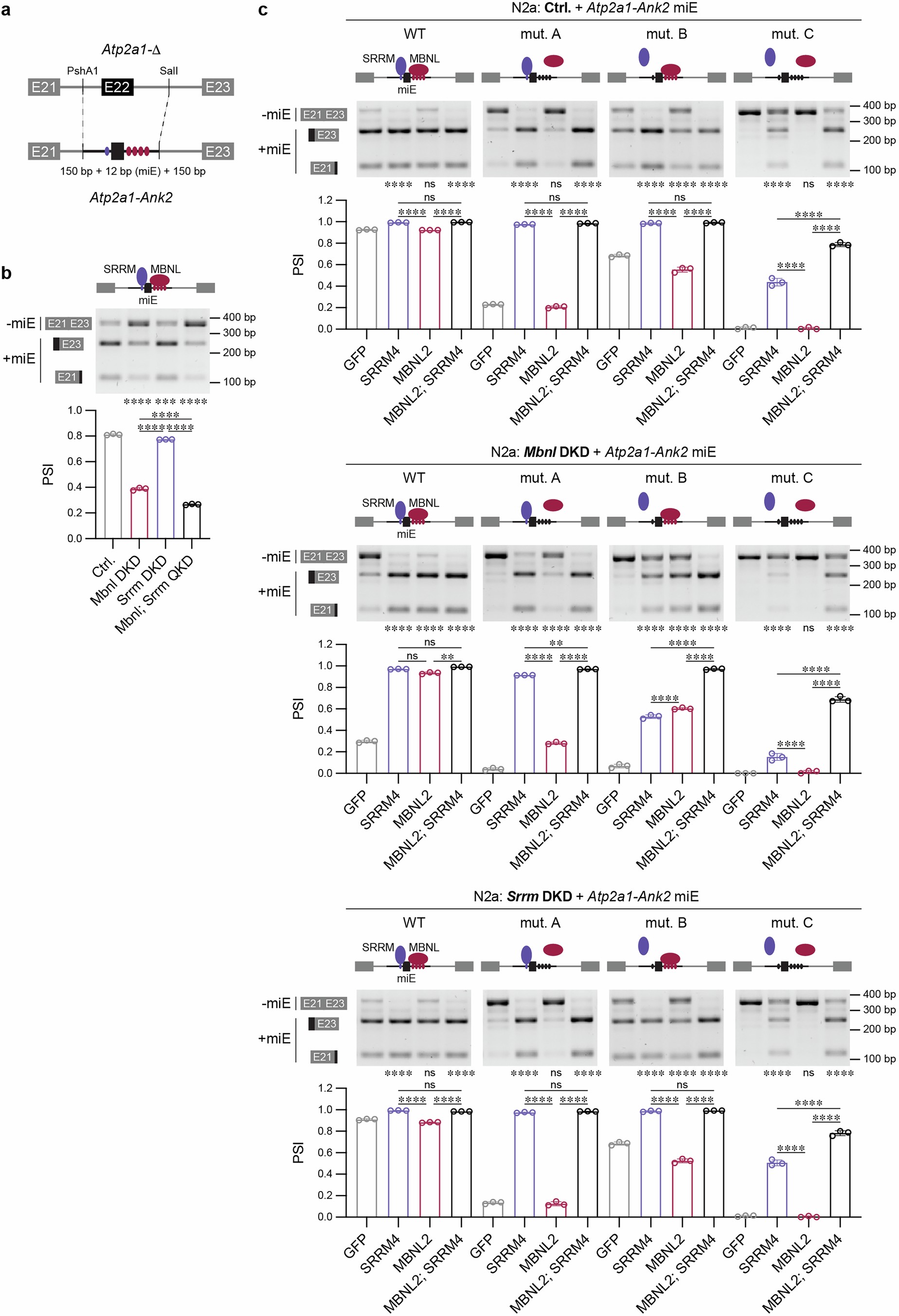 Extended Data Fig. 8
