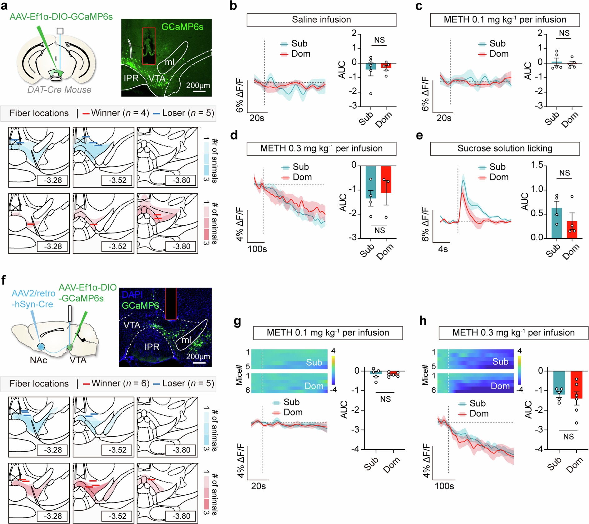 Extended Data Fig. 3