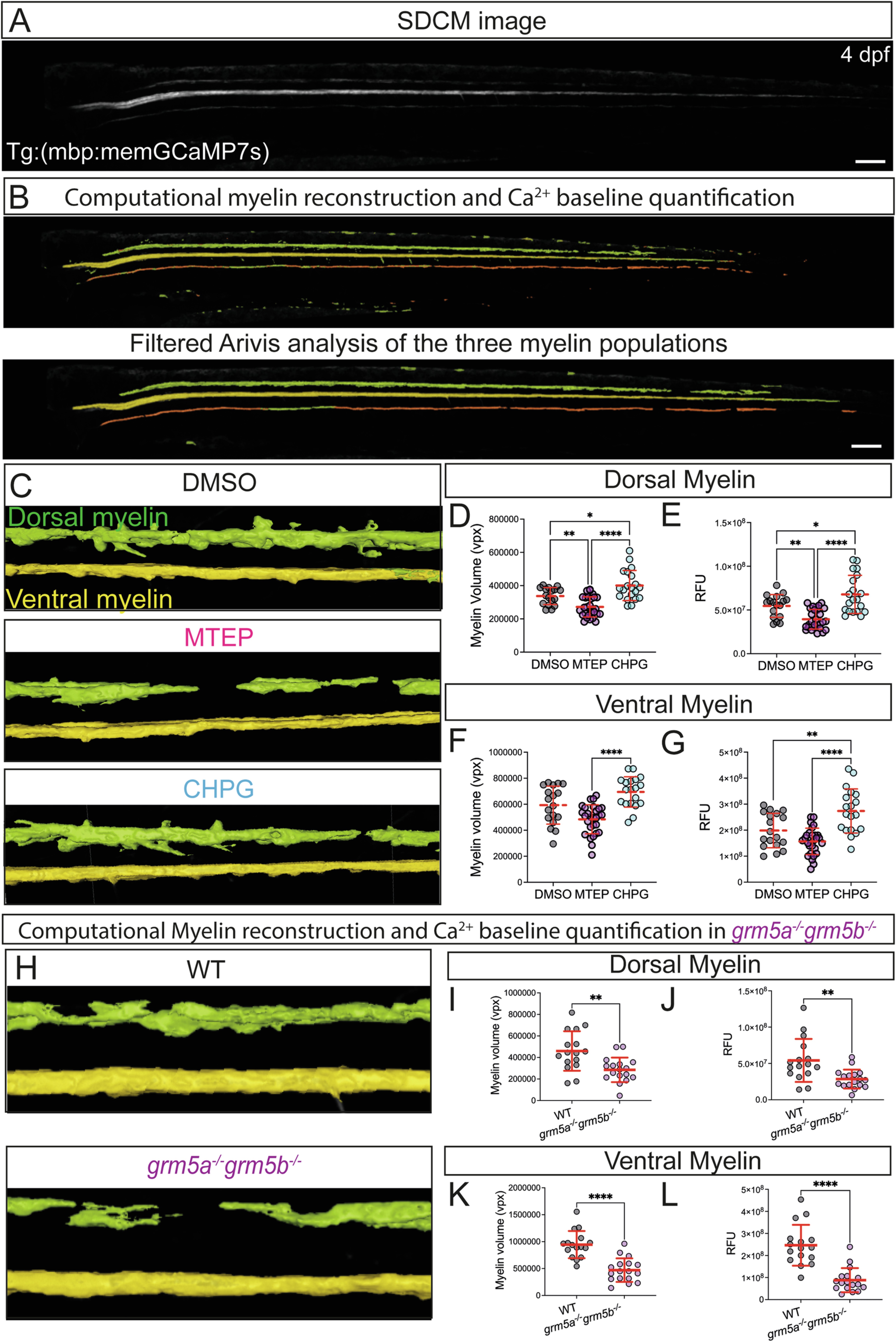 Extended Data Fig. 8