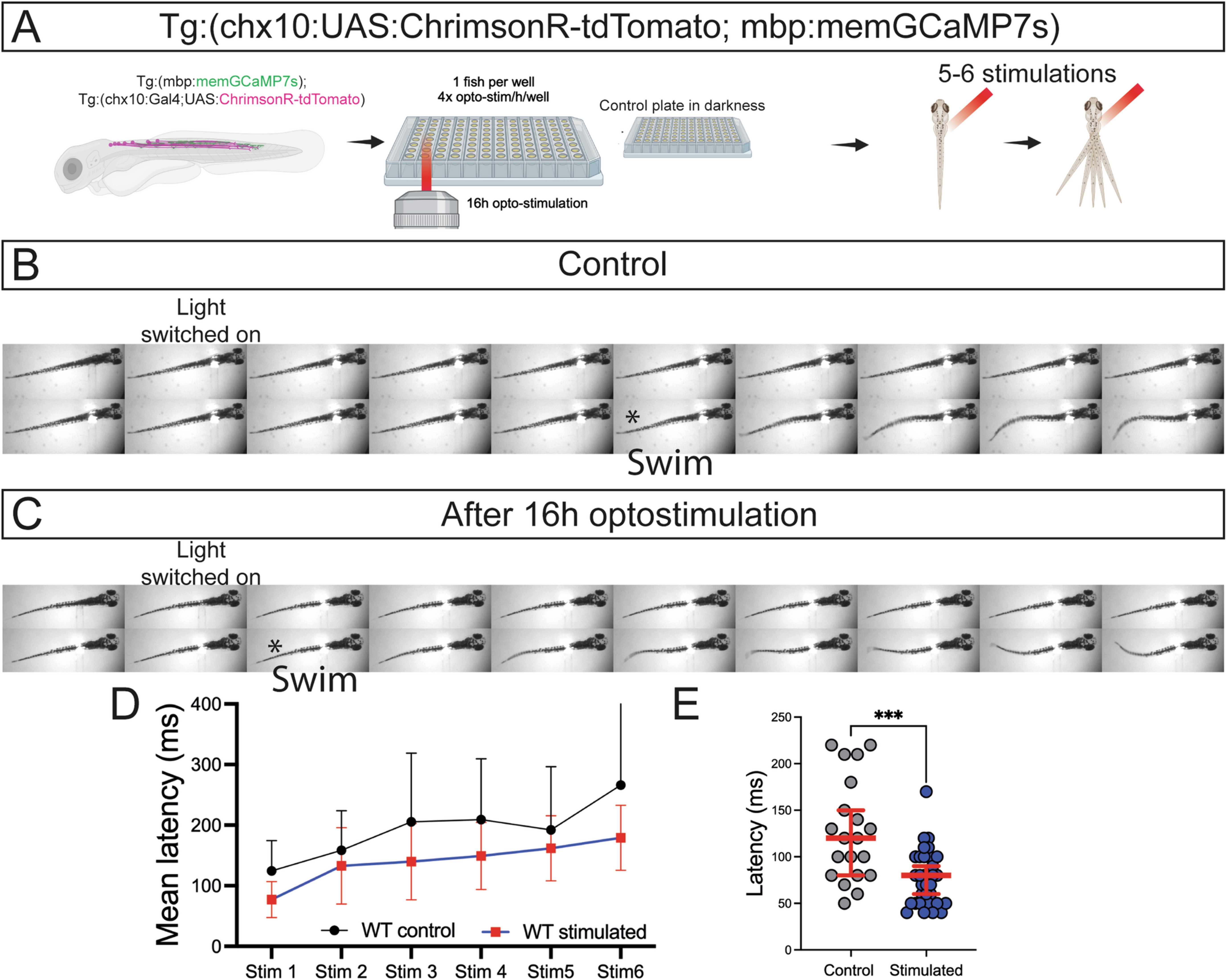 Extended Data Fig. 10