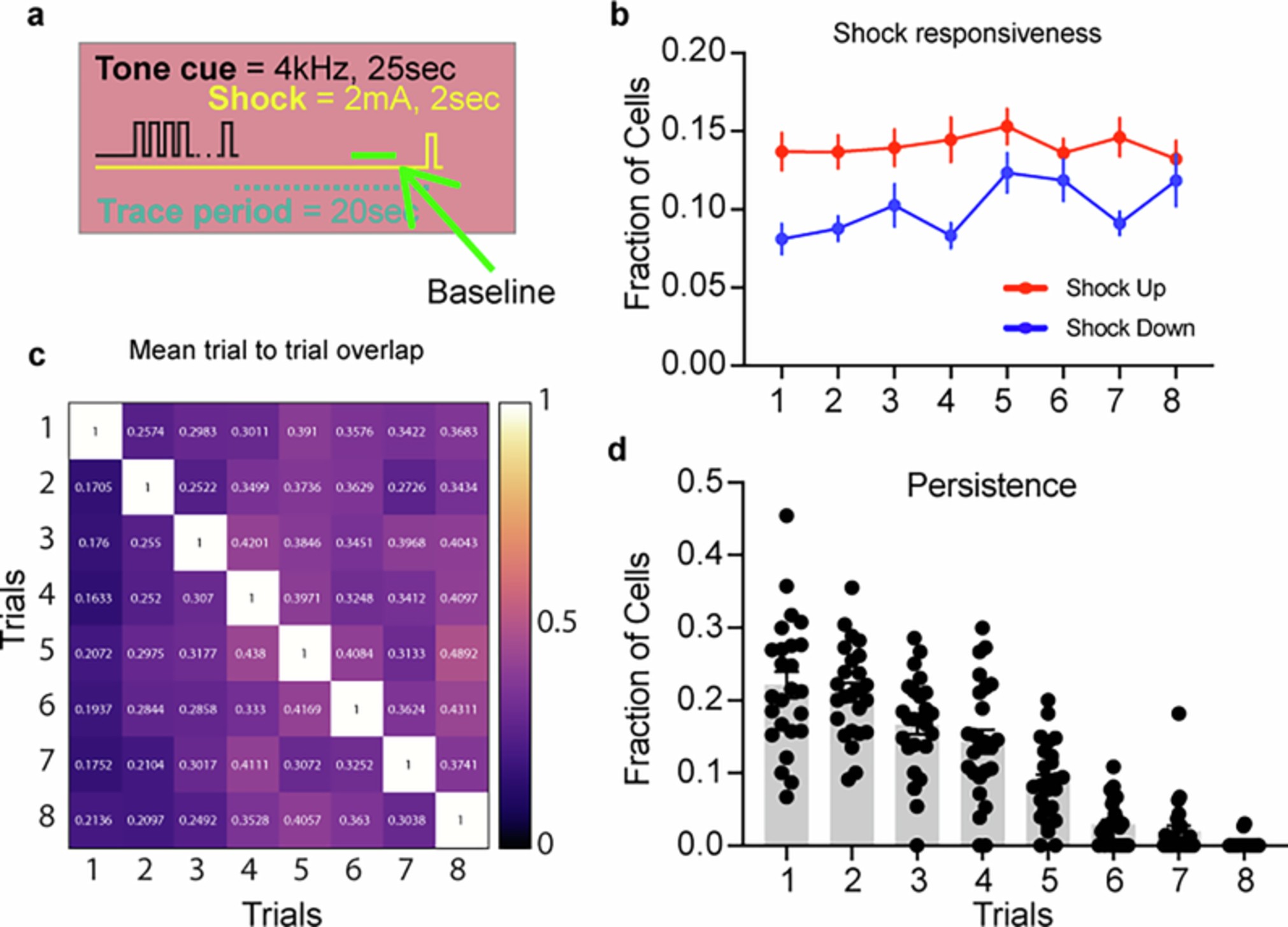 Extended Data Fig. 10: Shock-responsive neurons are unstable in the RSC.