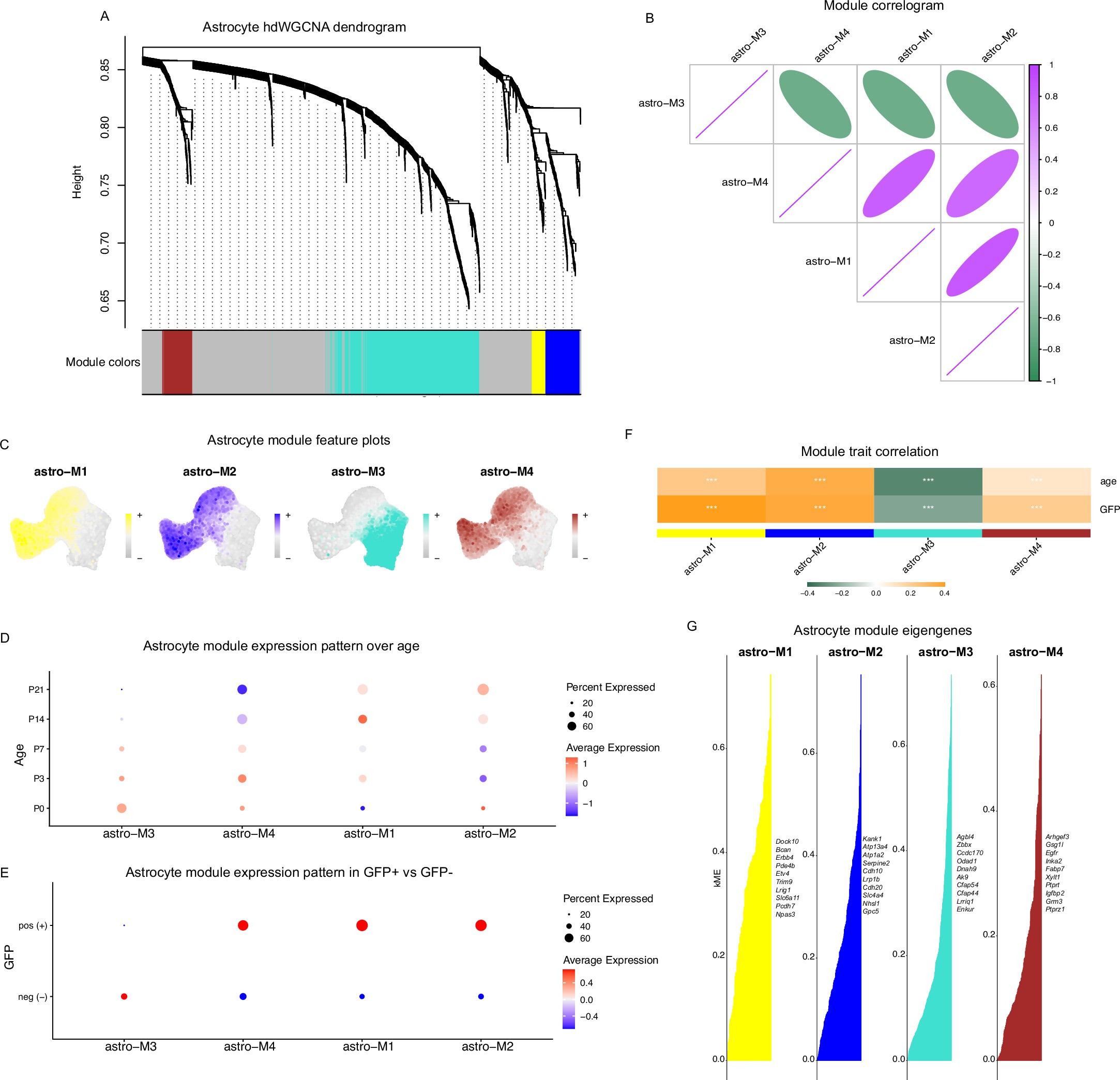 Extended Data Fig. 4: WGCNA analysis of astrocyte snRNA-seq dataset.