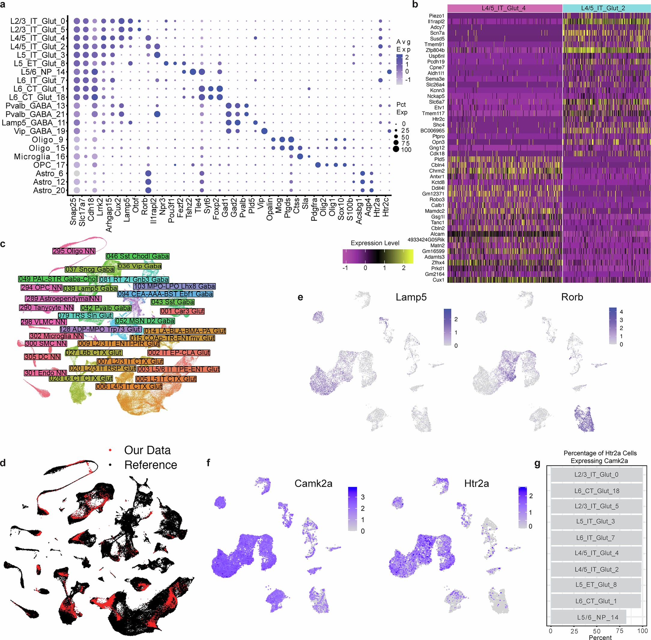 Extended Data Fig. 10: Marker gene expression and public atlas integration informs snRNA-seq cell typing from the PFC of mice.