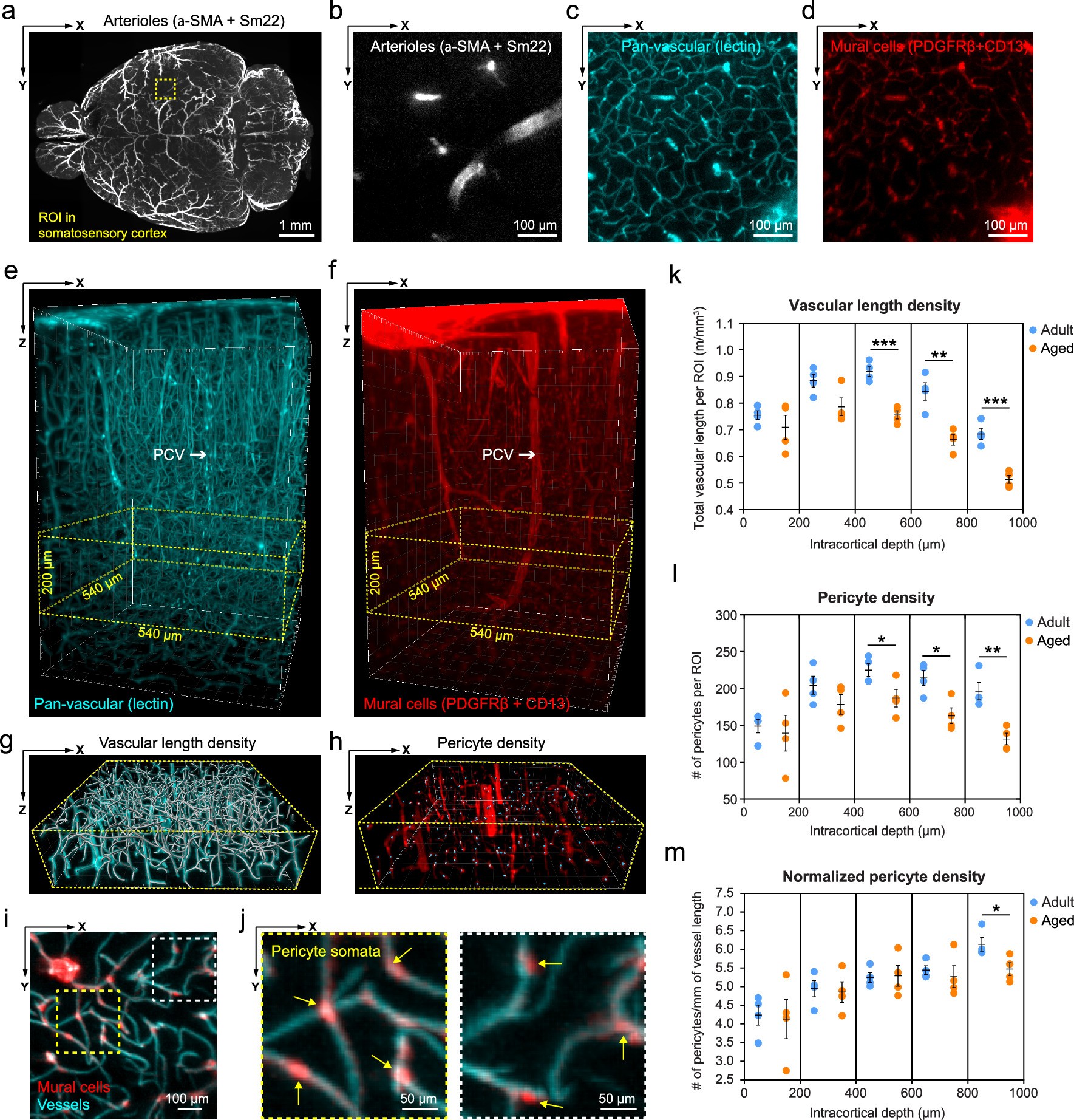 Extended Data Fig. 3
