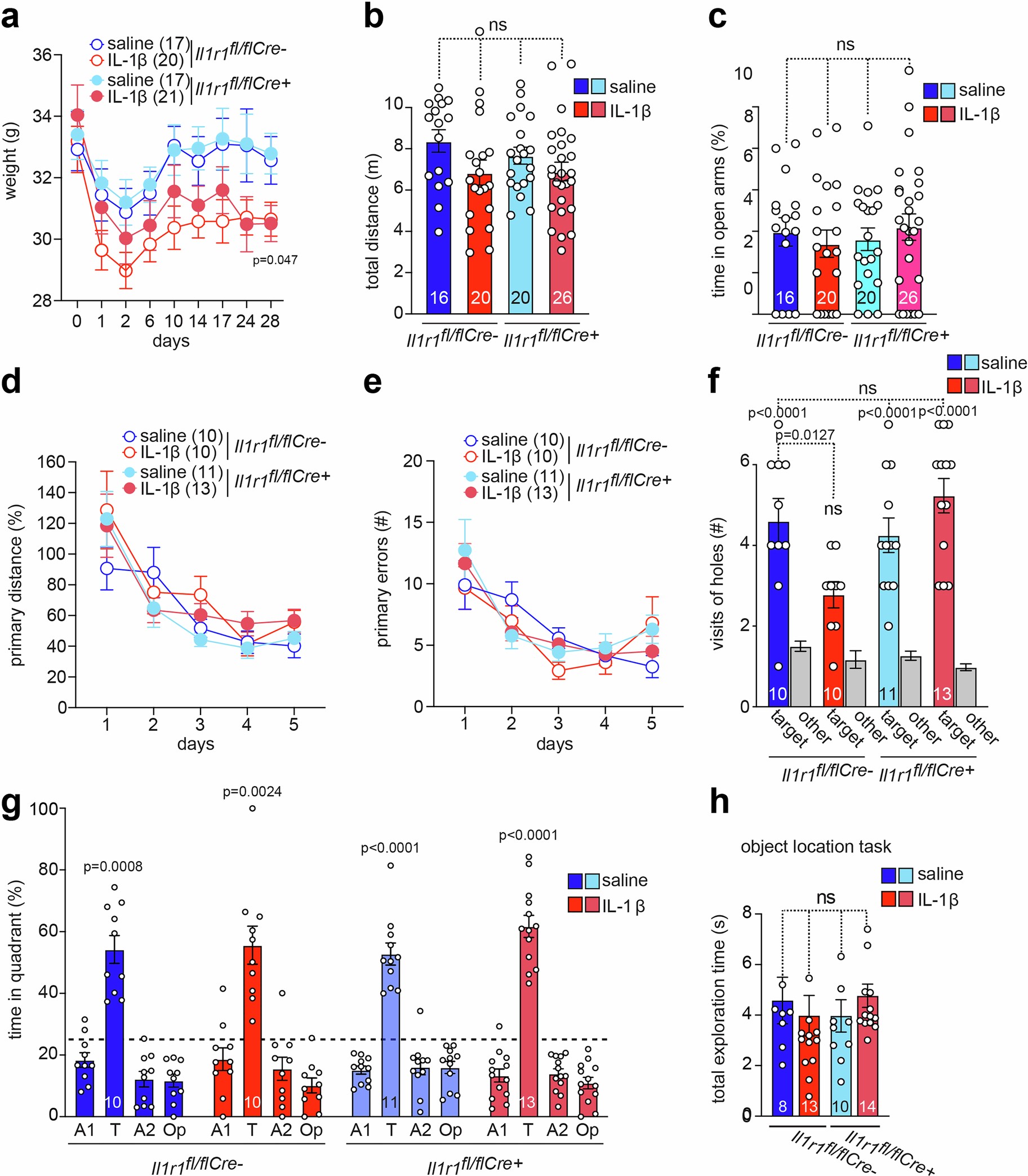 Extended Data Fig. 2: Neuronal IL-1R1 signaling in adult hippocampus is not required for learning, consolidation or recall of spatial memory, however it is critically involved in IL-1β-induced spatial memory impairment.