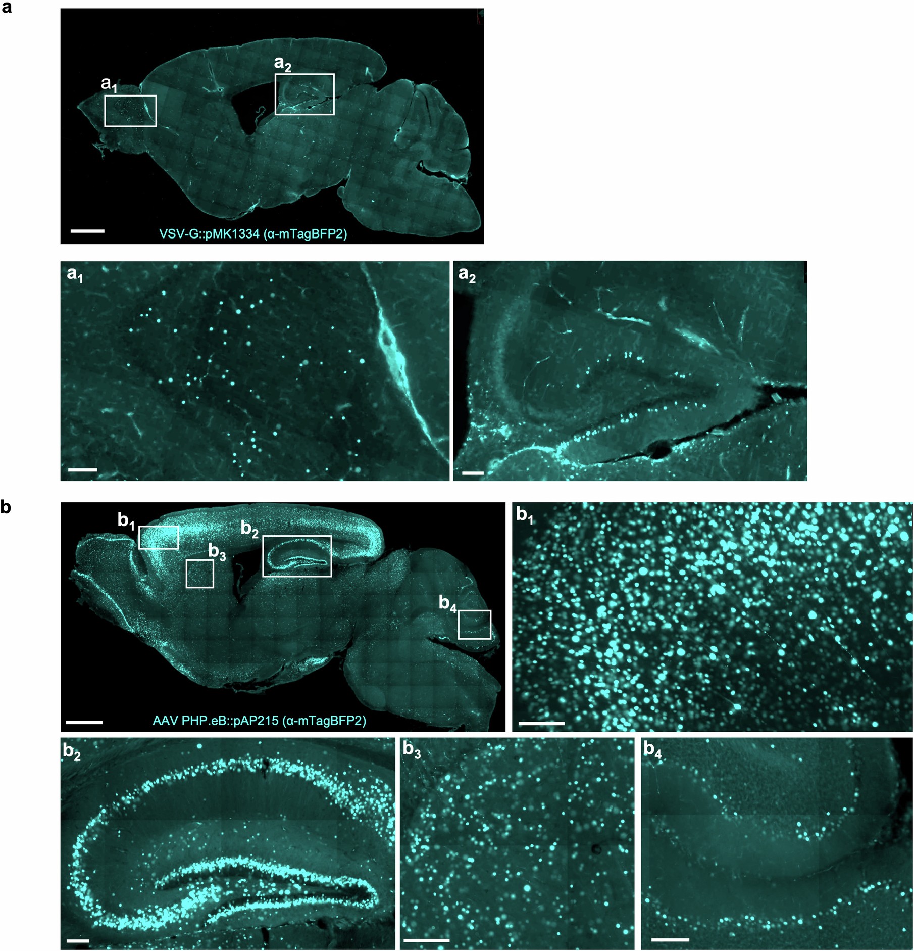 Extended Data Fig. 2
