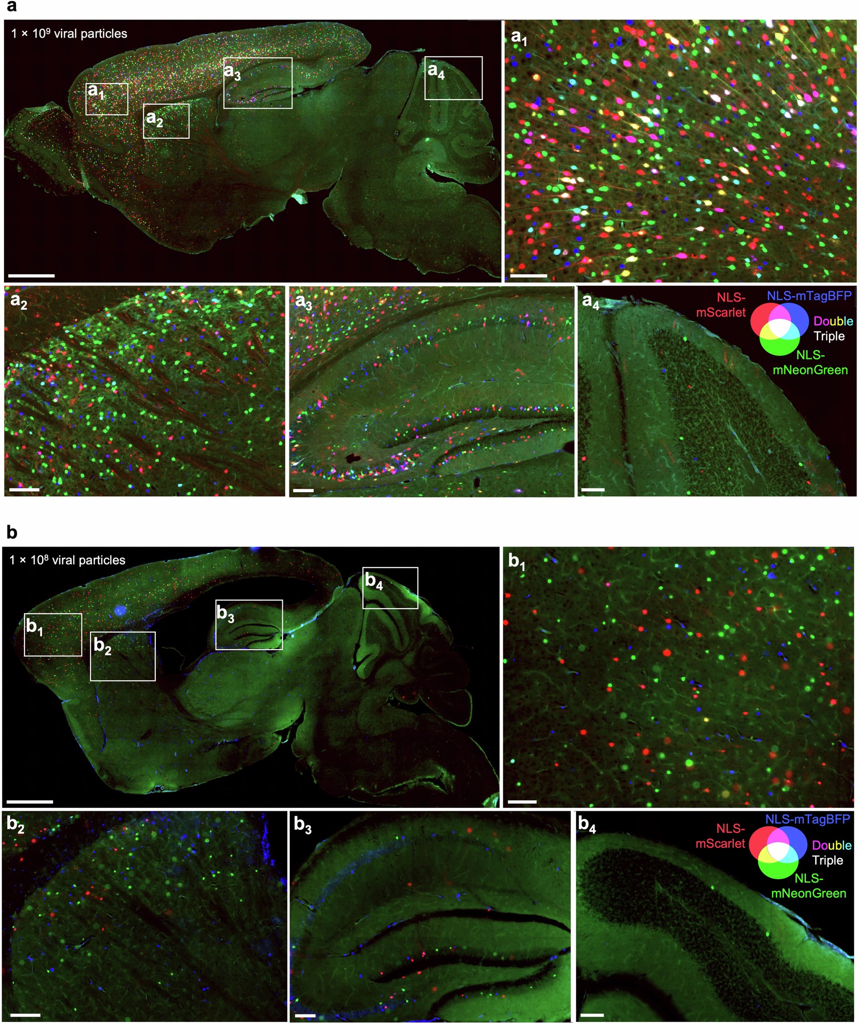 Extended Data Fig. 5