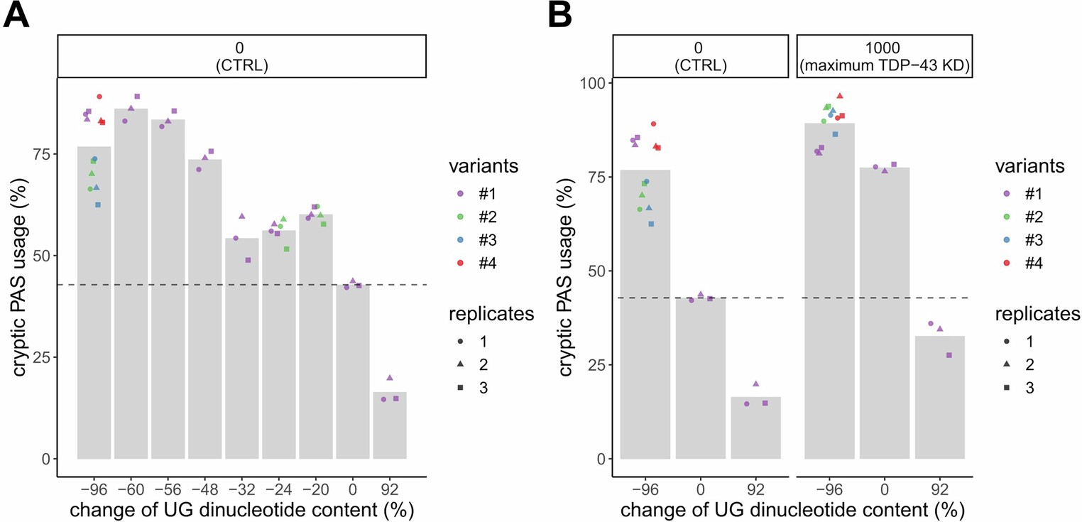 Extended Data Fig. 2: ELK1 3’-UTR APA reporter library.
