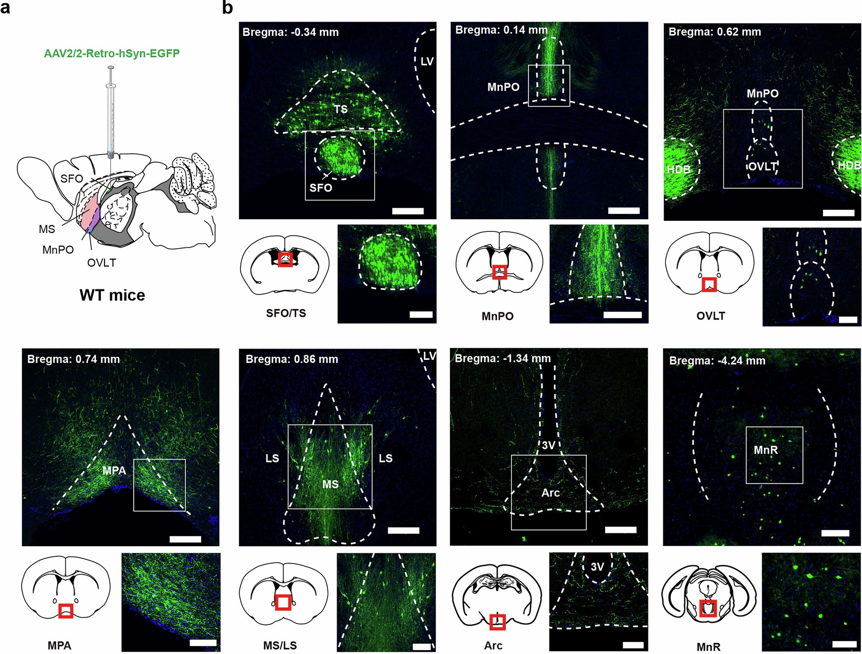 Extended Data Fig. 1