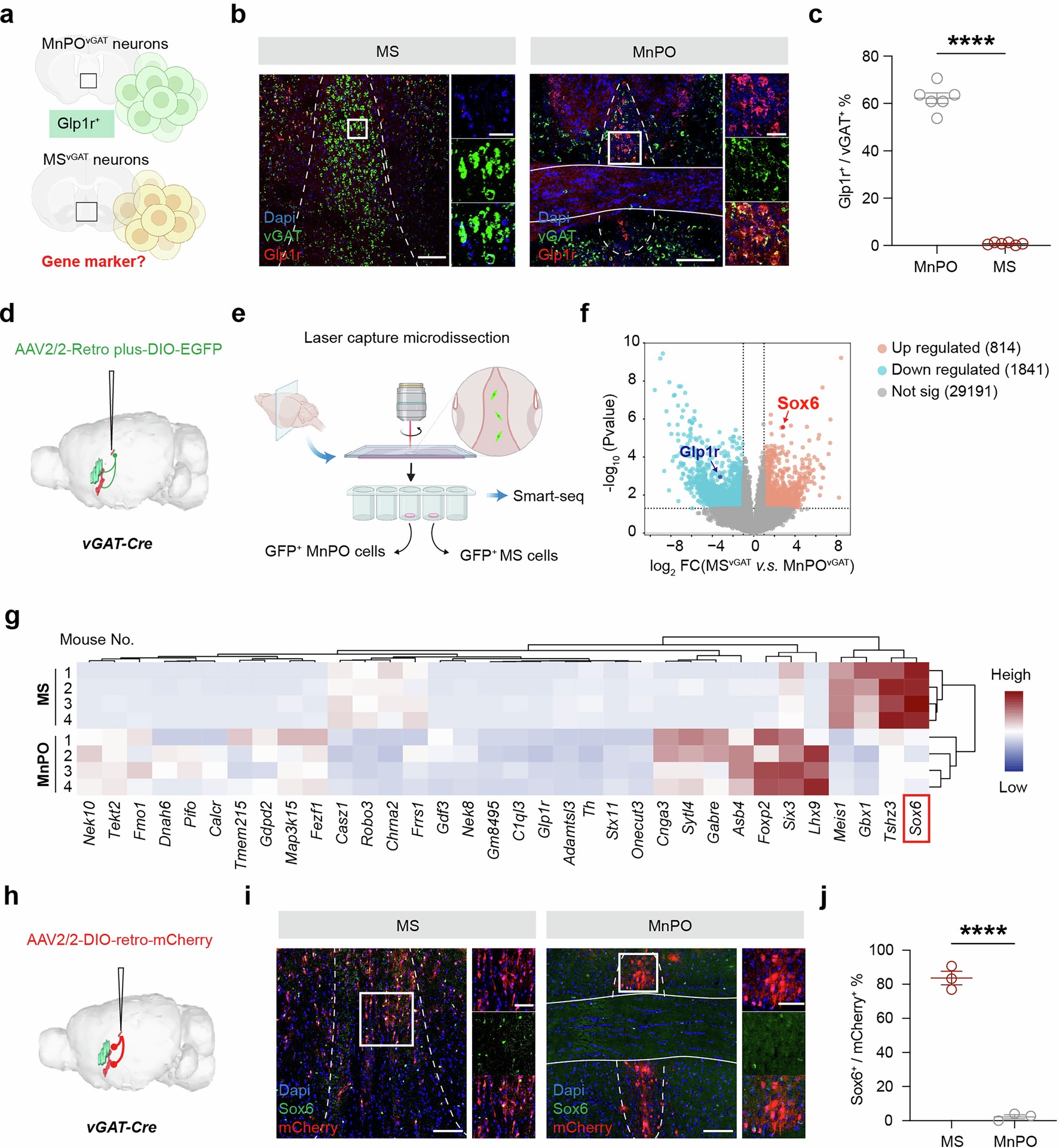 Extended Data Fig. 3