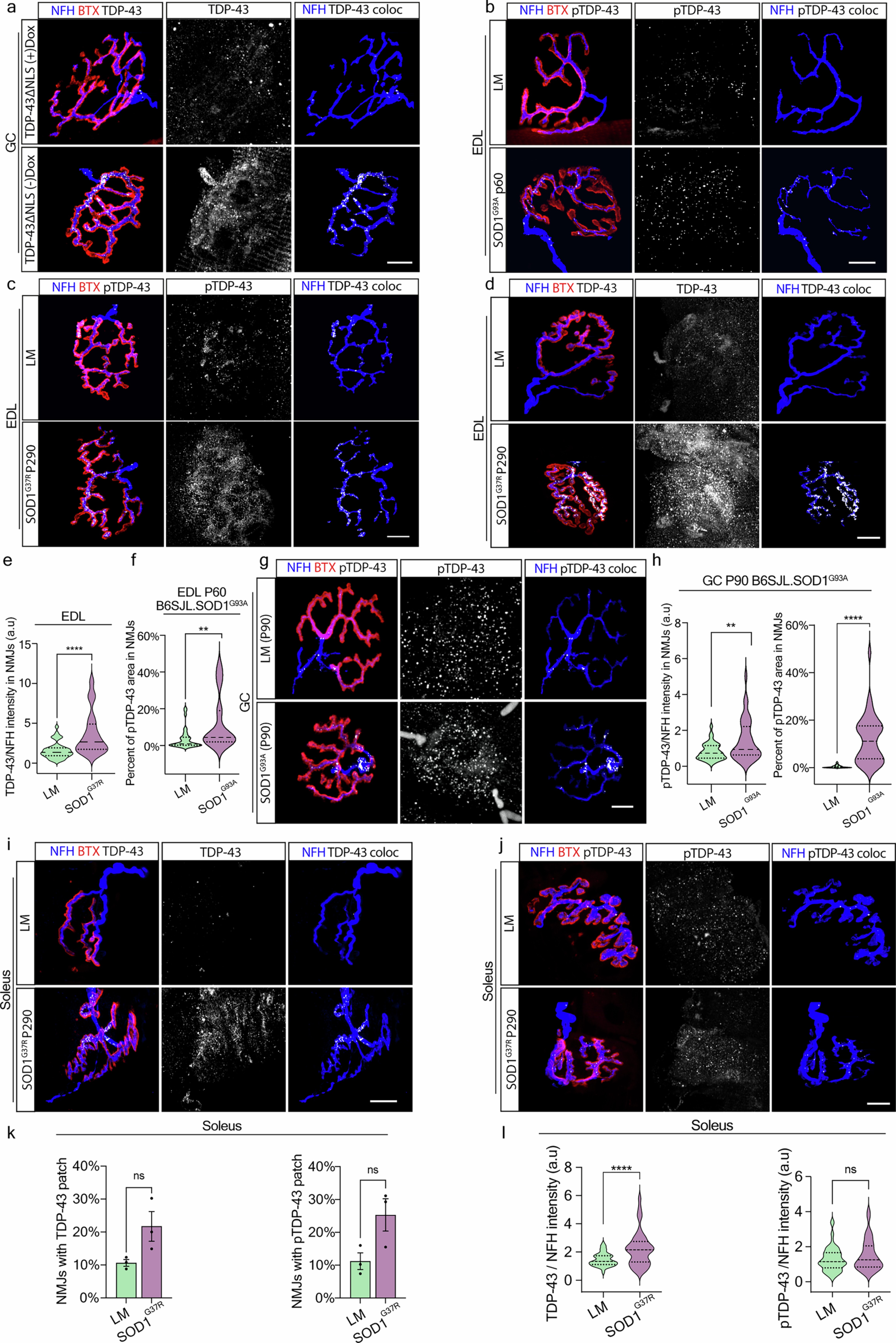 Extended Data Fig. 4