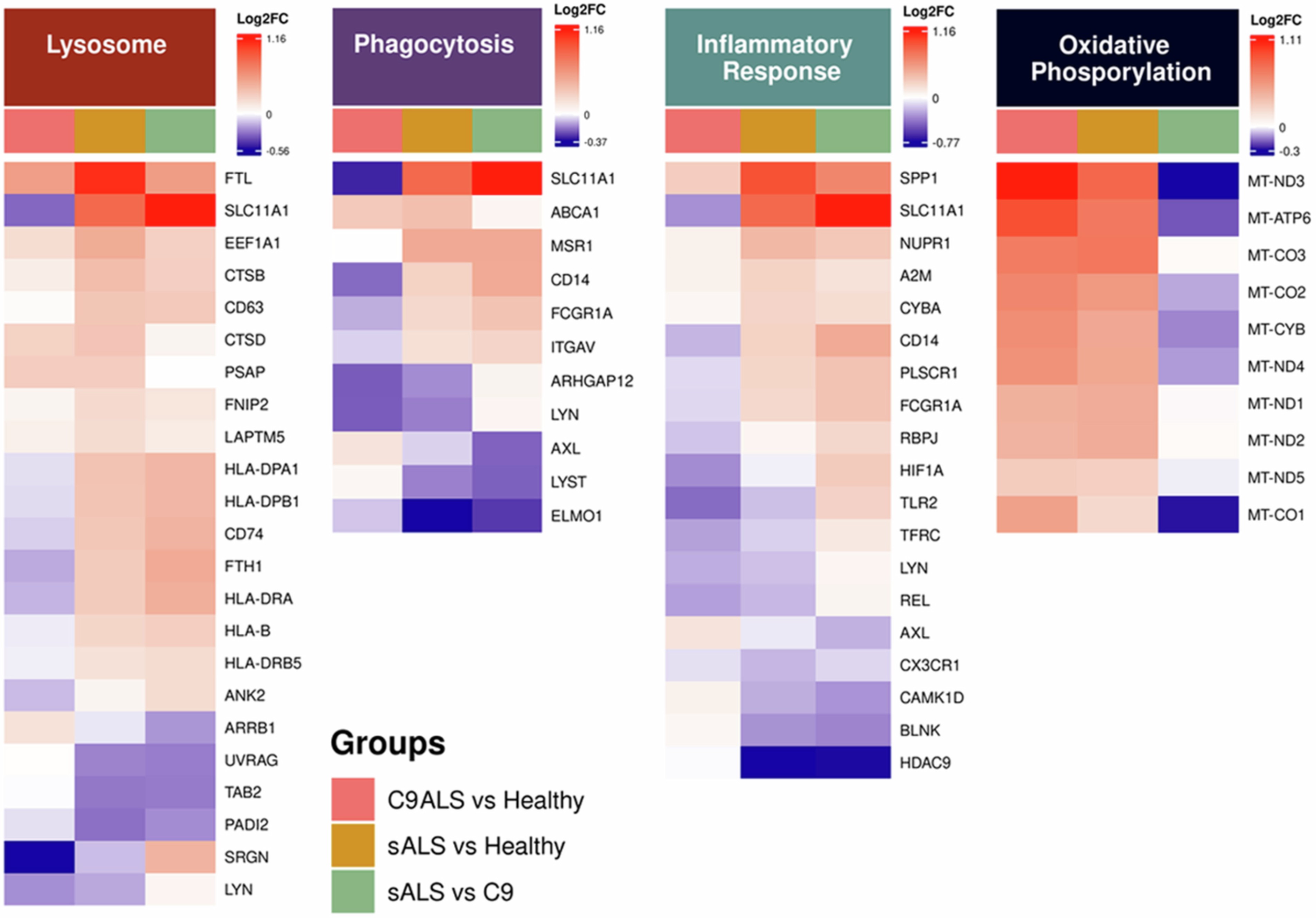 Extended Data Fig. 4: Microglia from C9orf72 HRE patients show transcriptional alterations in functional pathways.
