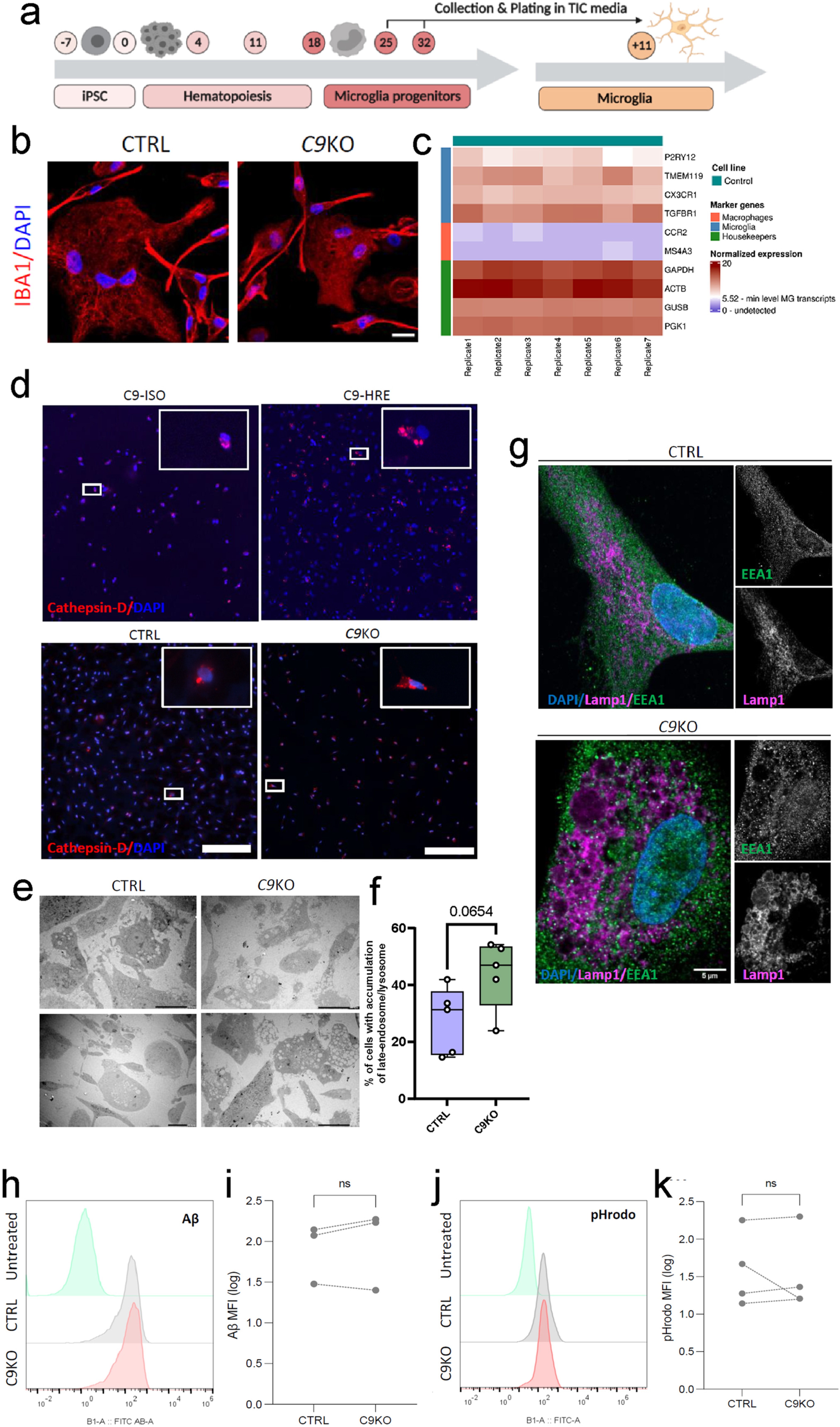 Extended Data Fig. 6: Extended data related to Fig.4.