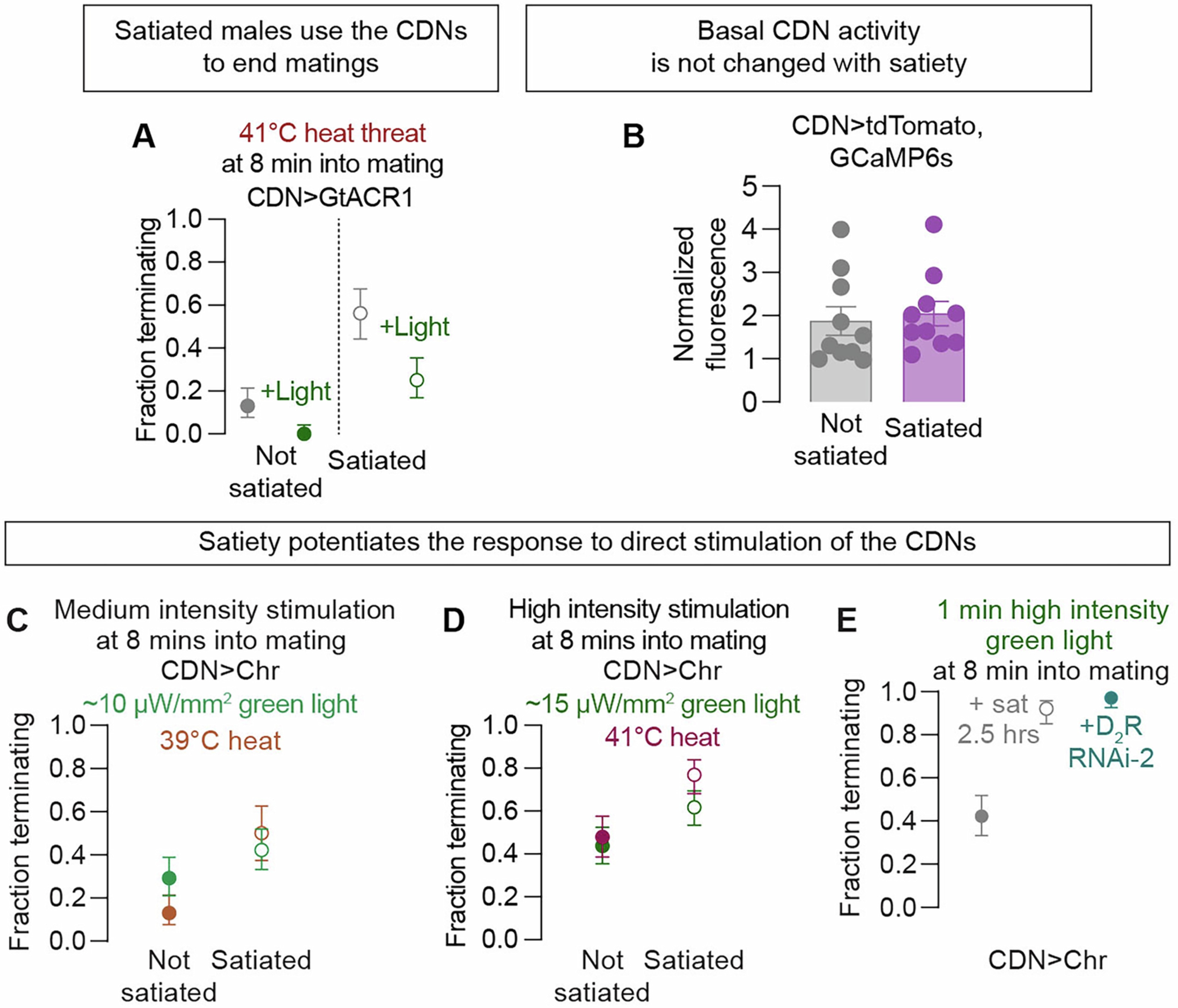 Extended Data Fig. 6: Satiety sensitizes matings to CDN stimulation.