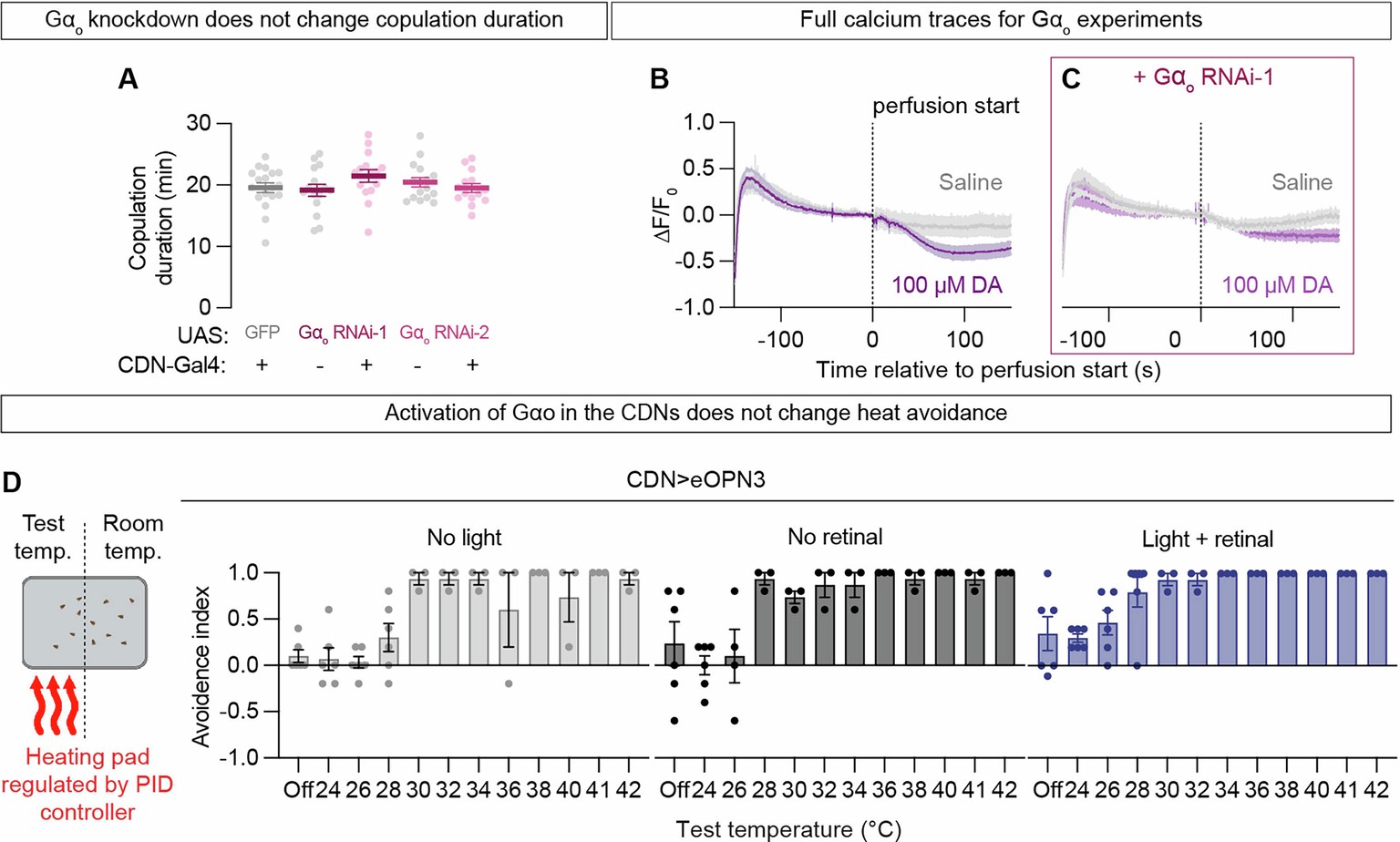 Extended Data Fig. 8: Activation of Gαo signaling in the CDNs protects matings in real-time.