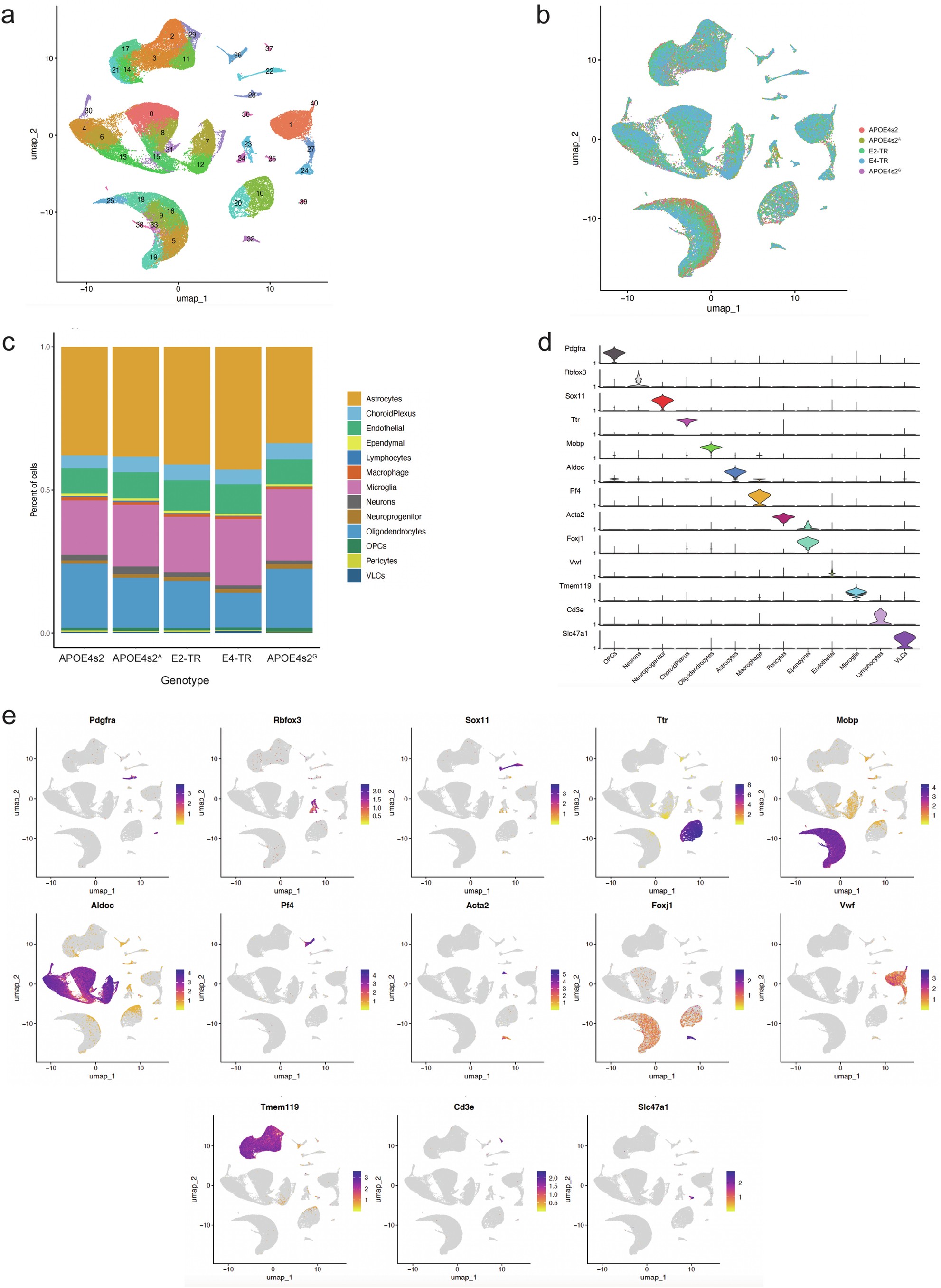Extended Data Fig. 3: scRNAseq cell-type assignment.