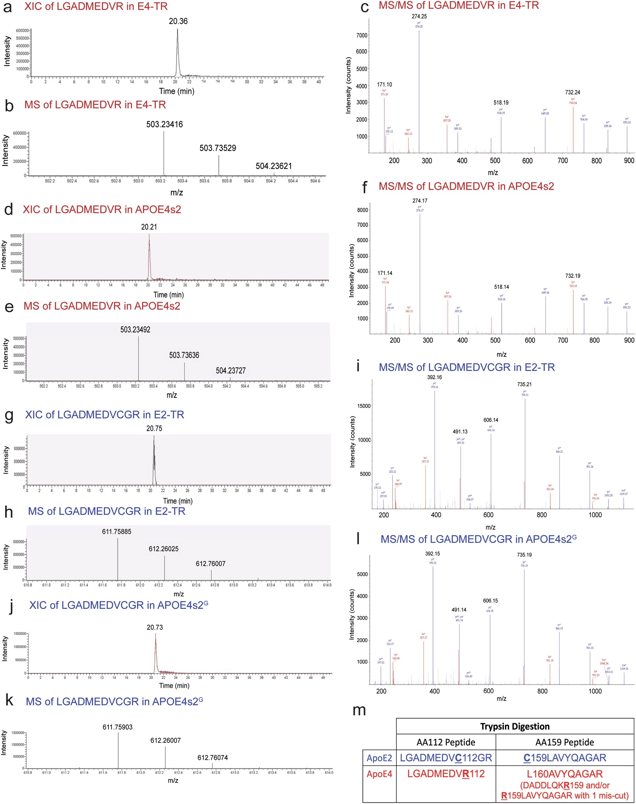 Extended Data Fig. 1: Peaks for unique E2 and unique E4 peptides look similar in TR mice and APOE4s2 and APOE4s2G mice.