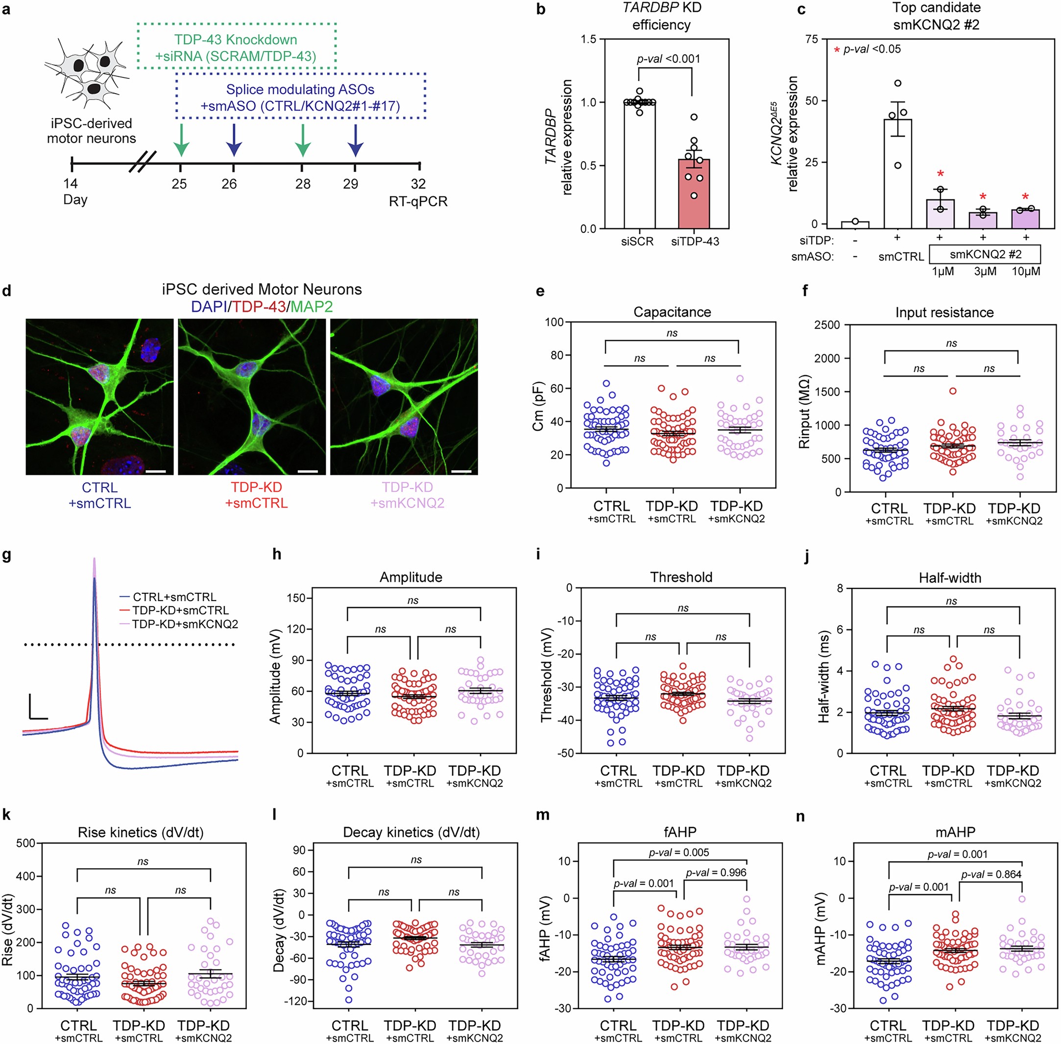 Extended Data Fig. 6