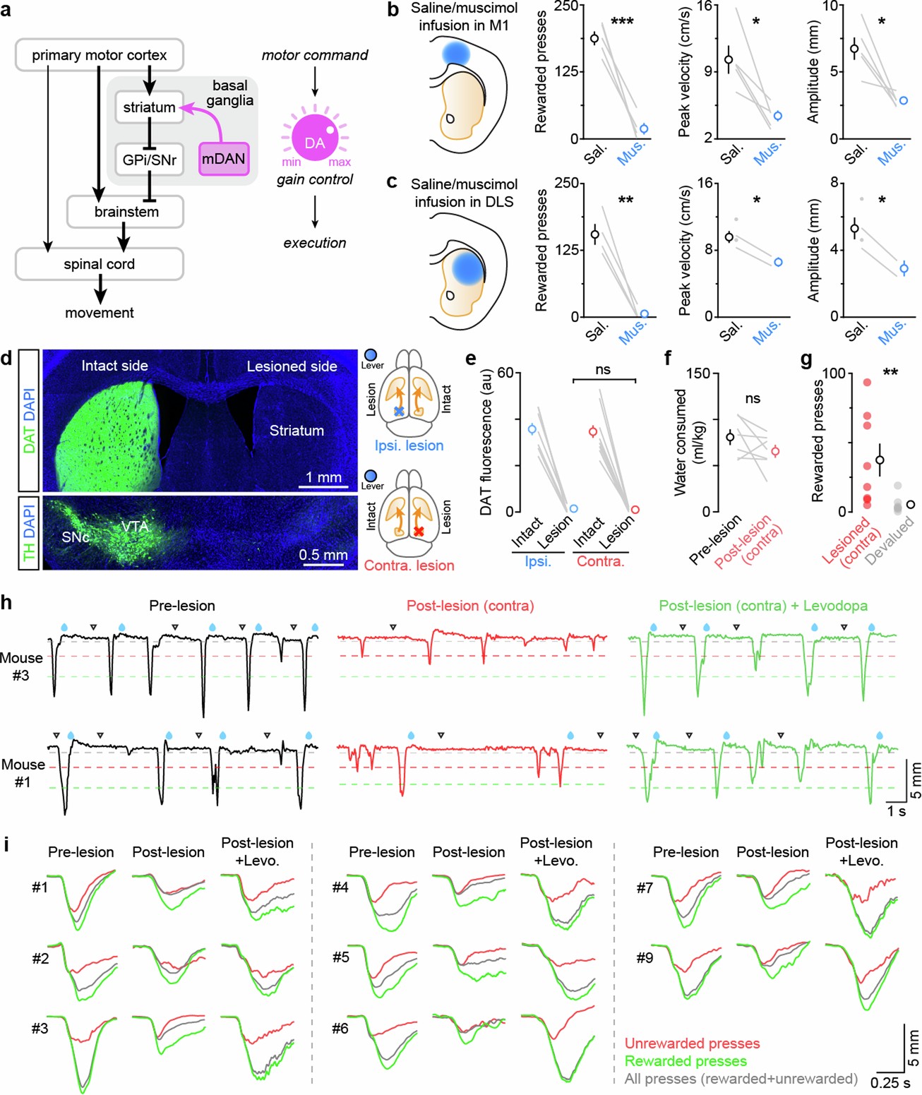 Extended Data Fig. 1