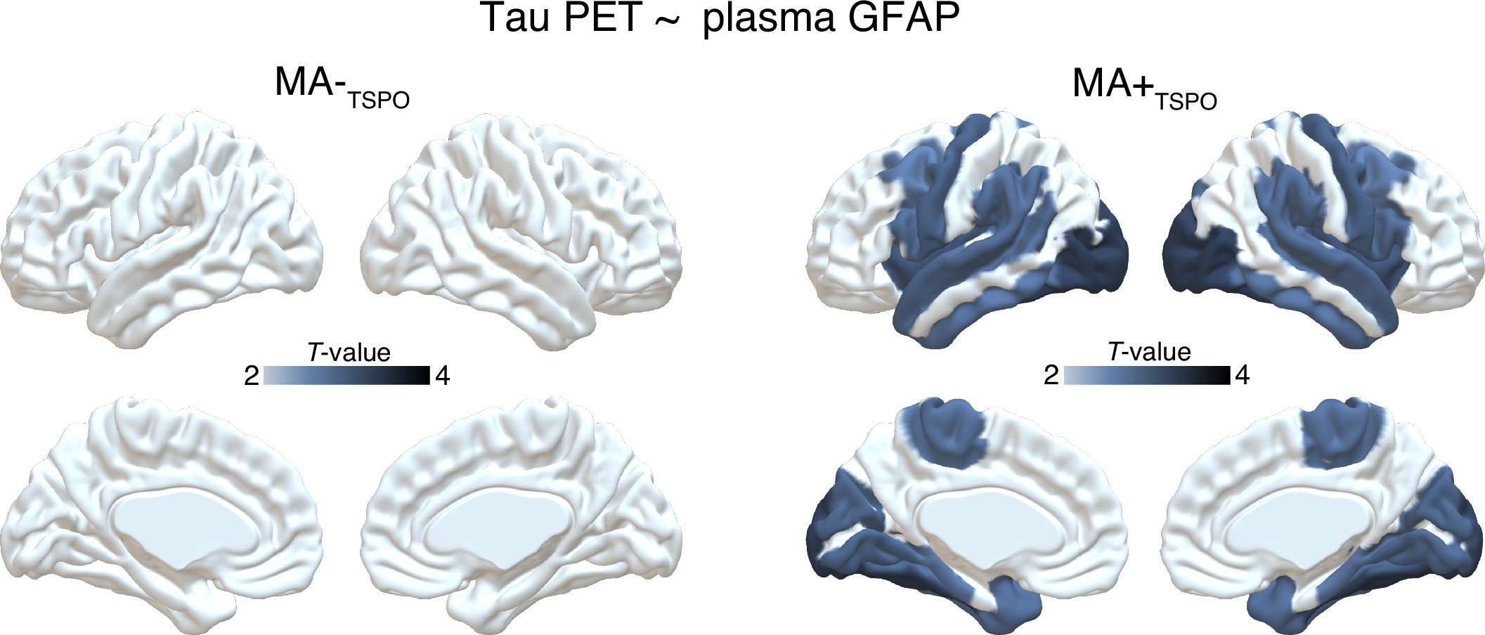 Extended Data Fig. 7
