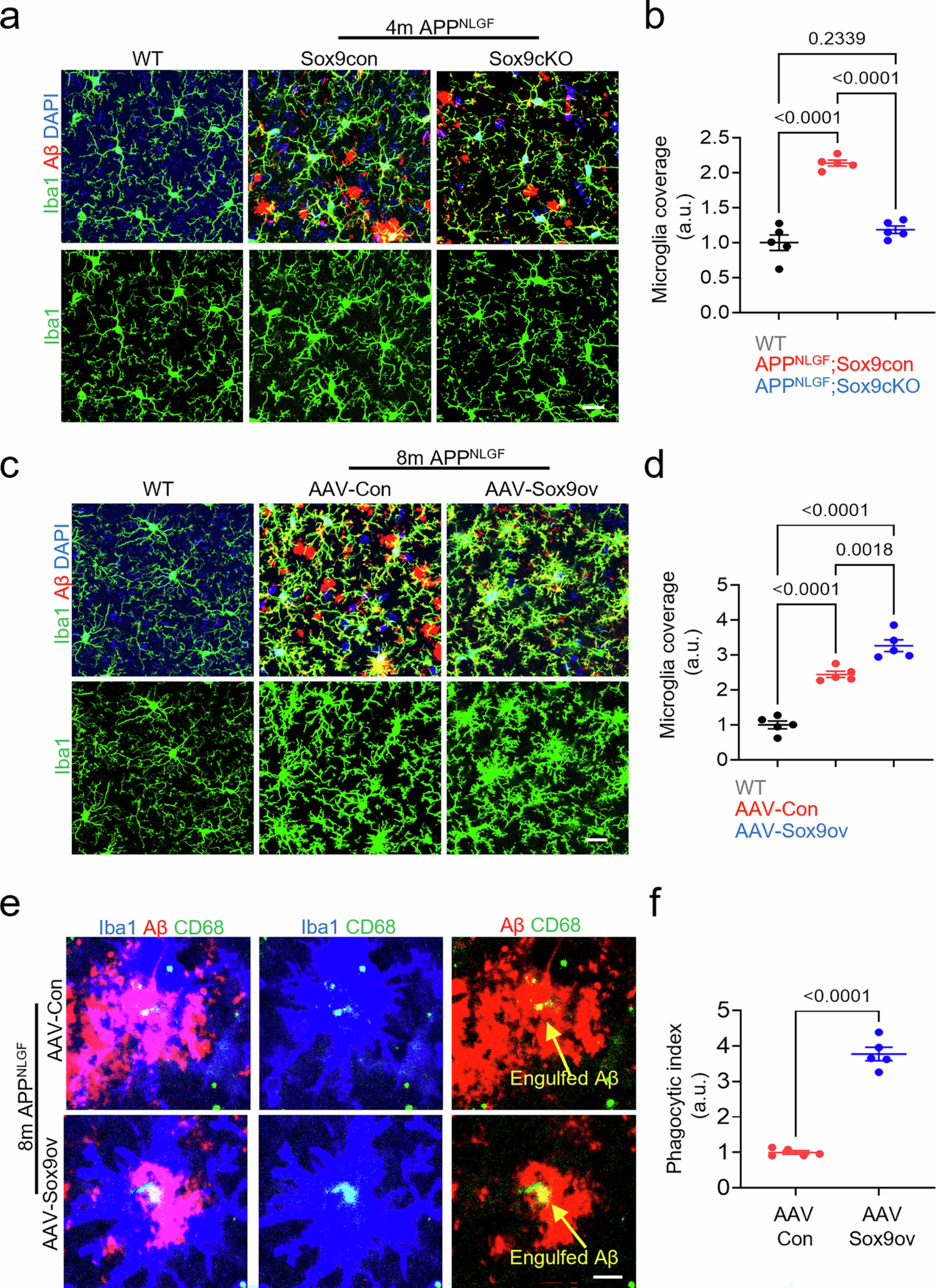 Extended Data Fig. 6