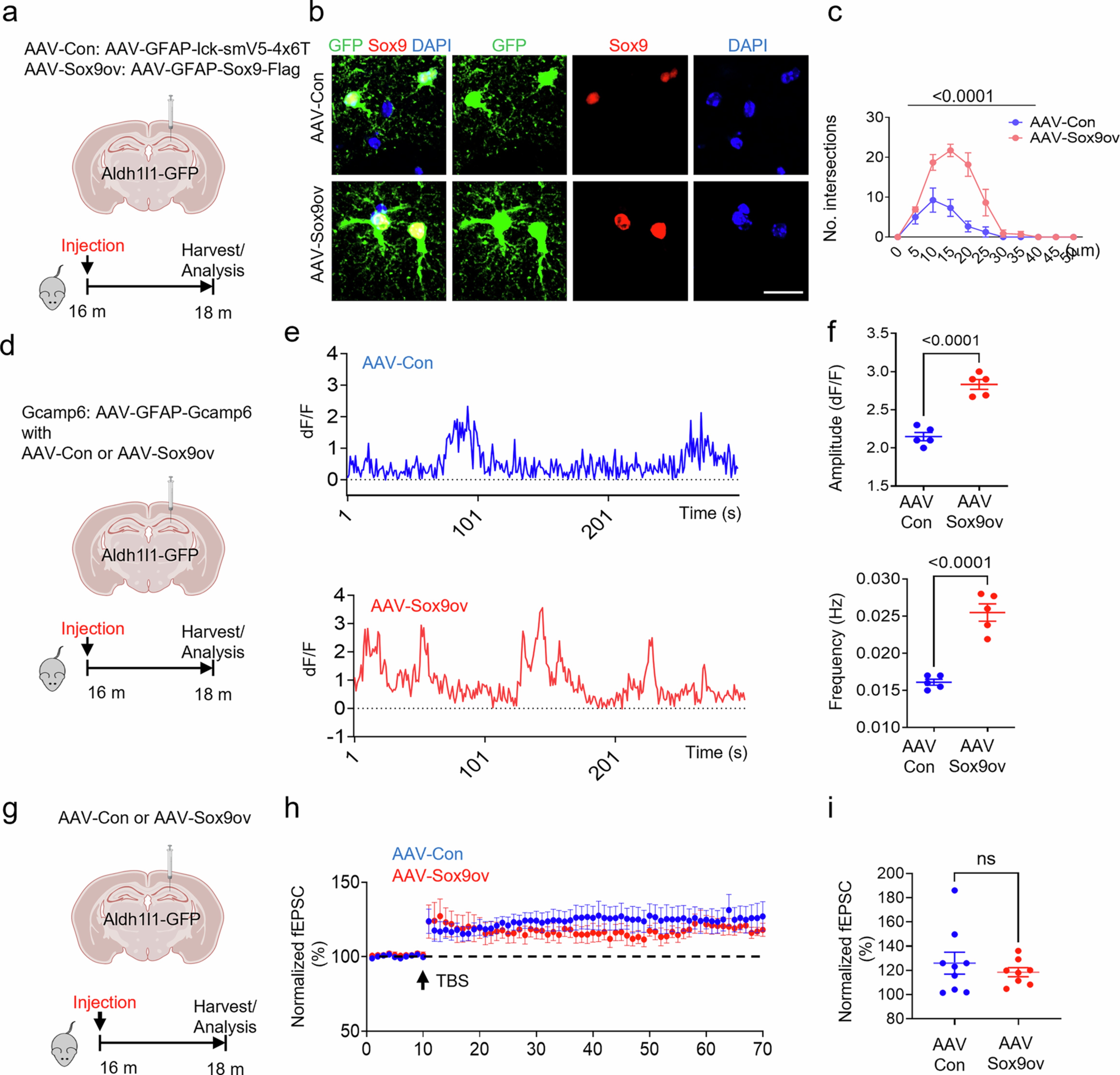Extended Data Fig. 3