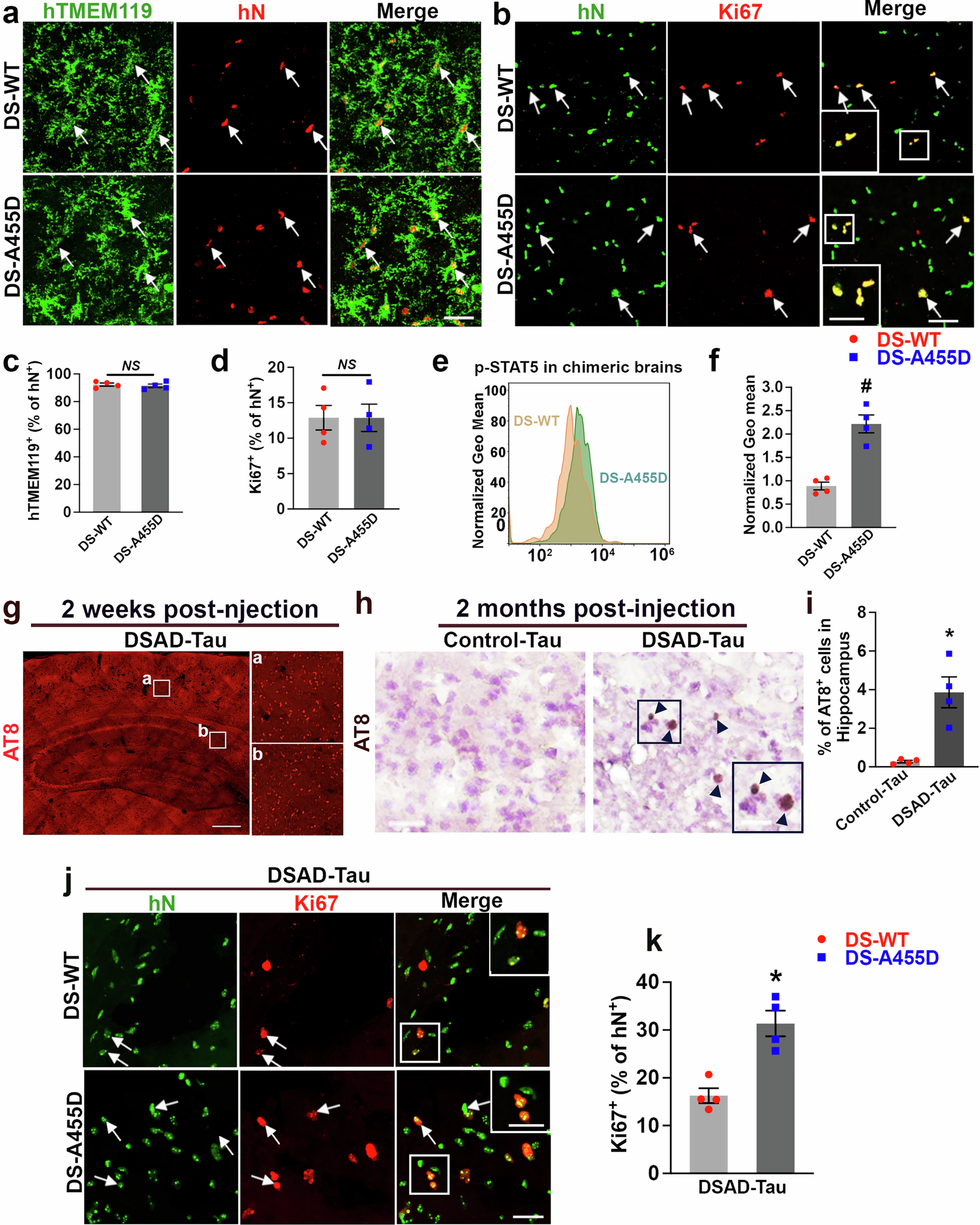 Extended Data Fig. 2: scRNA-seq analysis of DS-WT and DS-A455D microglia in response to DSAD-Tau S1 fraction in chimeric mice.