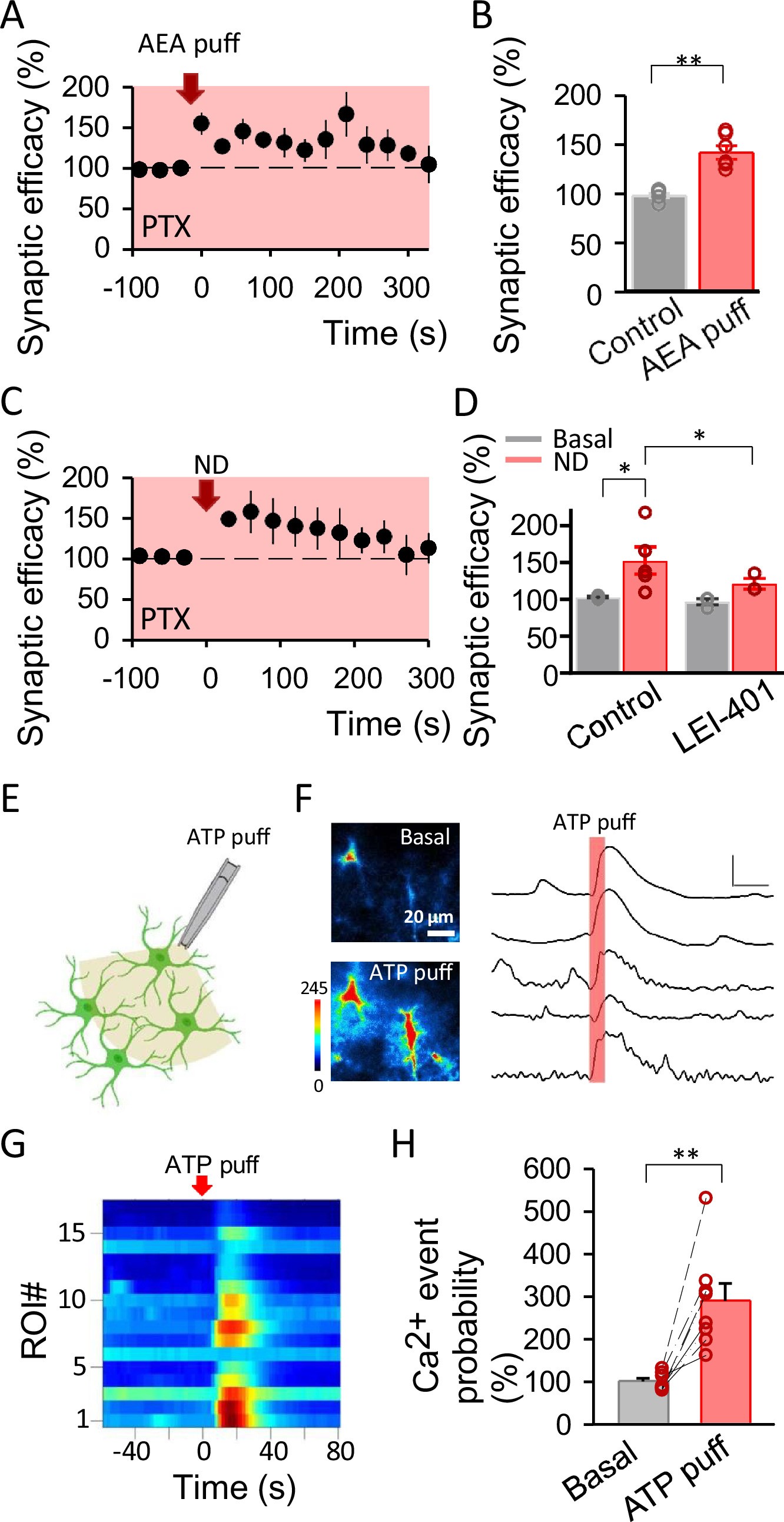 Extended Data Fig. 7: e-SP-mediated AEA is independent of PTX-insensitive G protein coupled receptor.