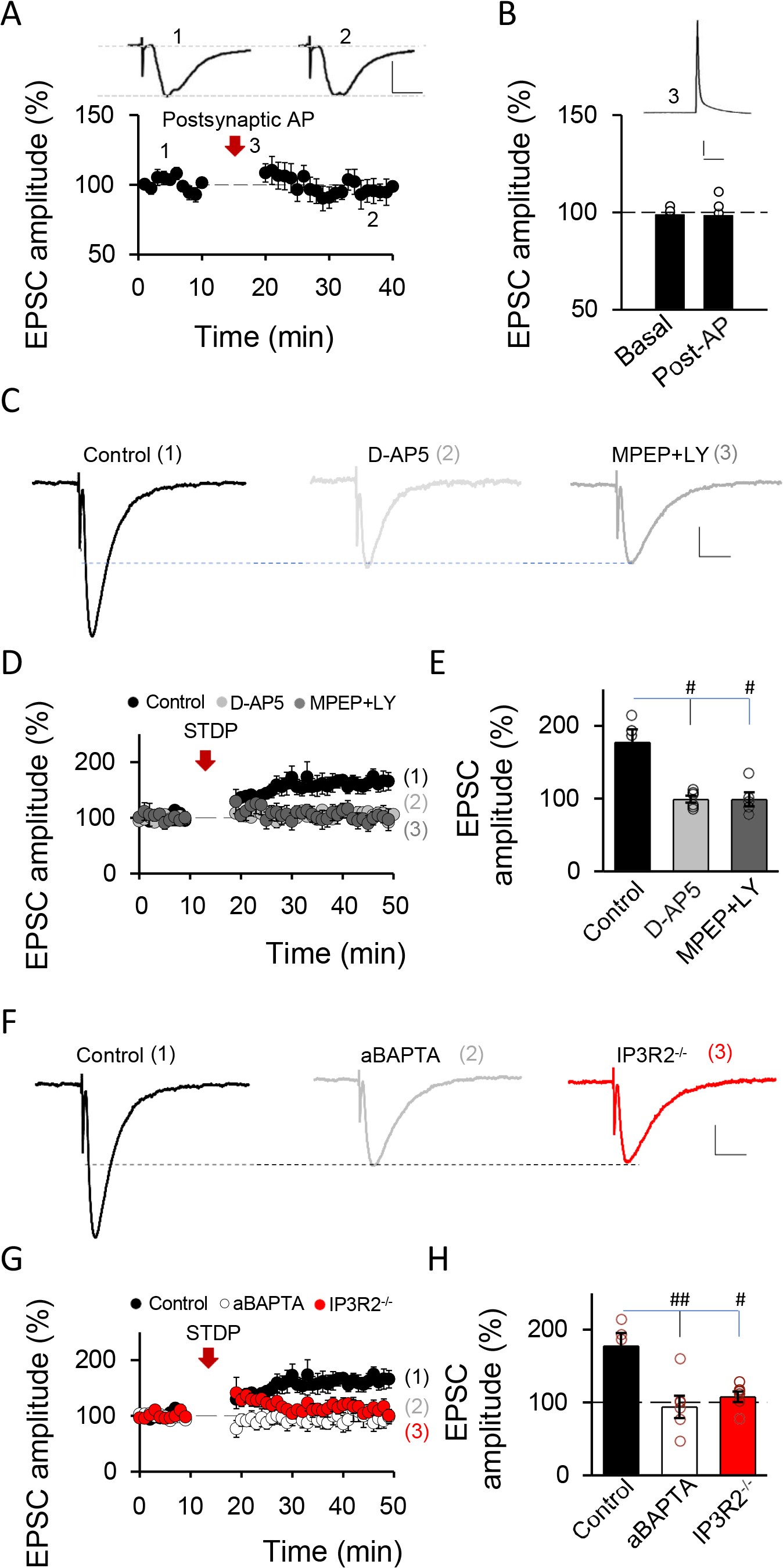 Extended Data Fig. 8: STD LTP requires presynaptic activity and depends on NMDA, Group I mGluR and astrocyte calcium mobilization.