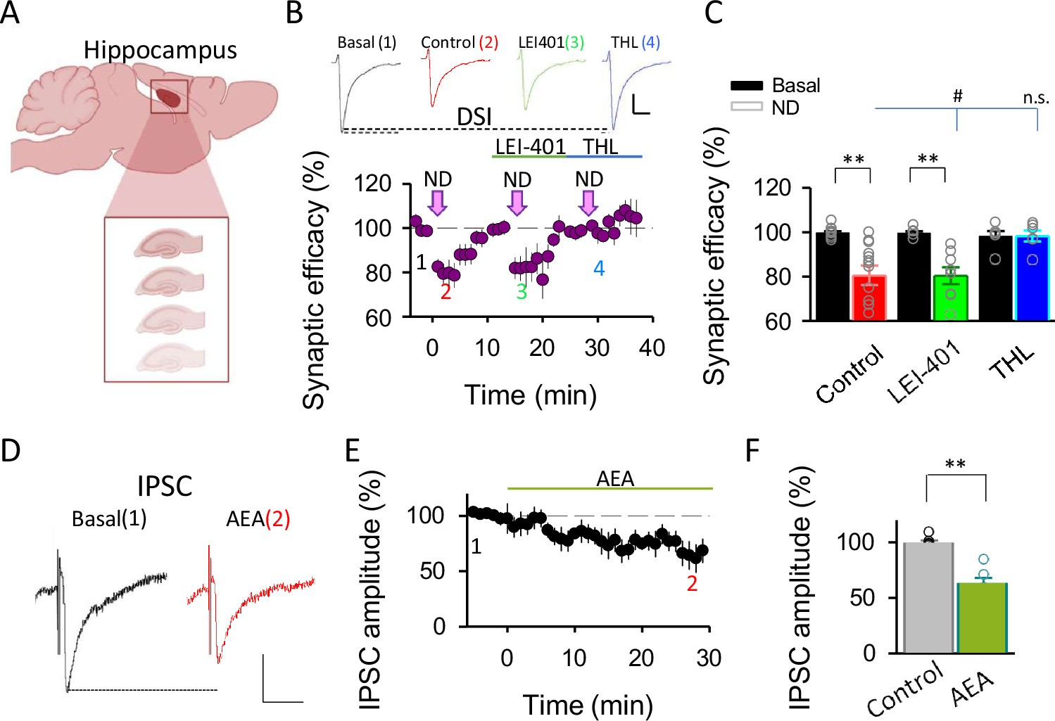 Extended Data Fig. 5: 2-AG, but not AEA, modulates inhibitory synaptic transmission.