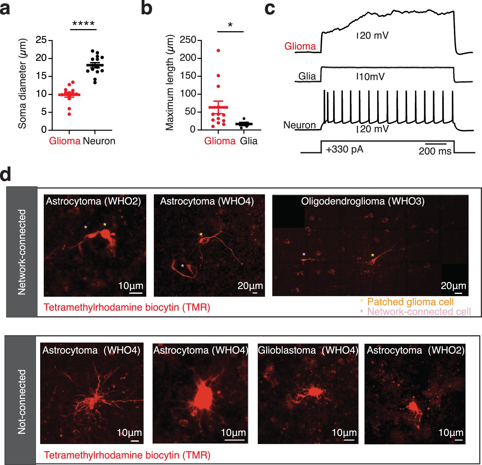Extended Data Fig. 8