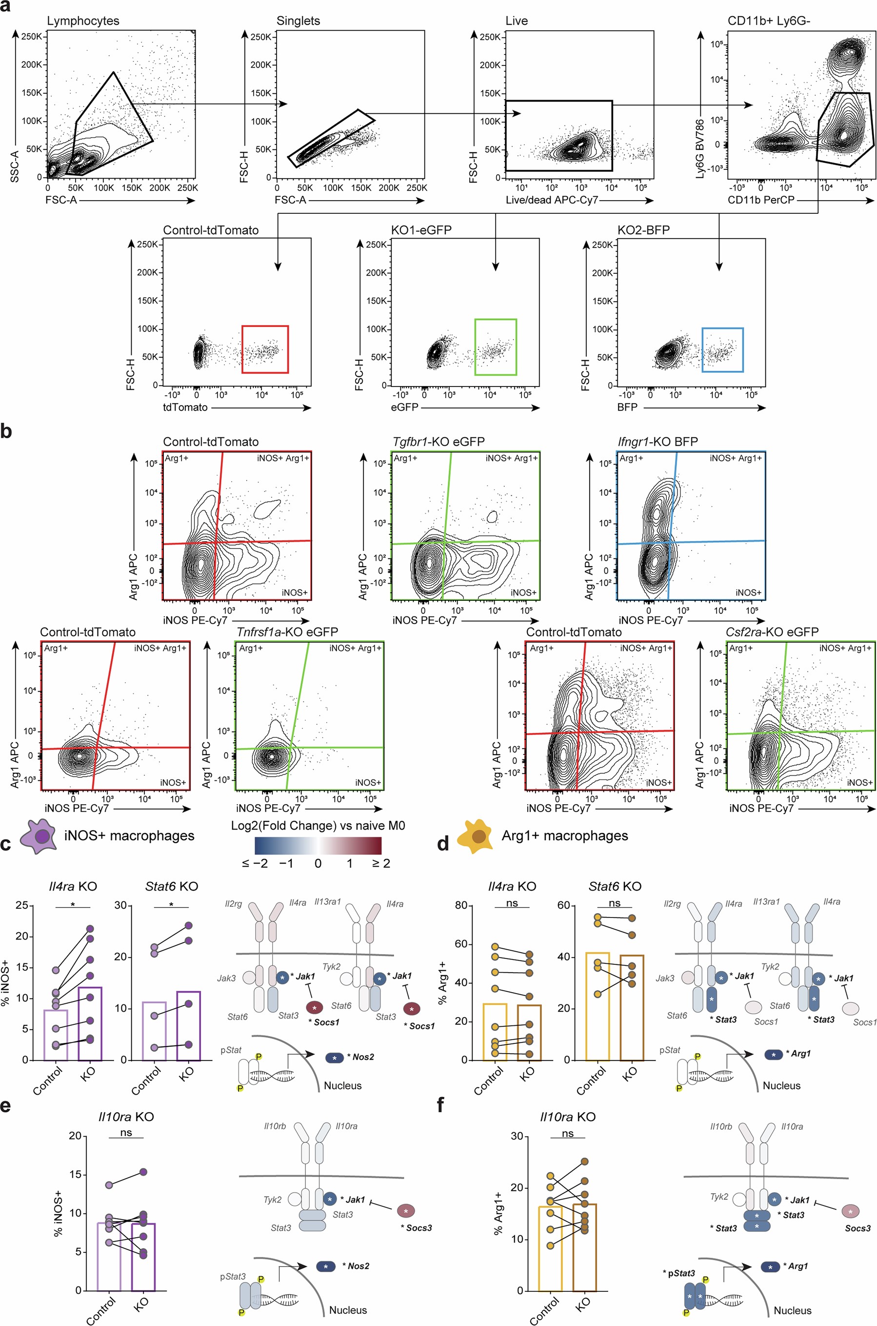 Extended Data Fig. 2