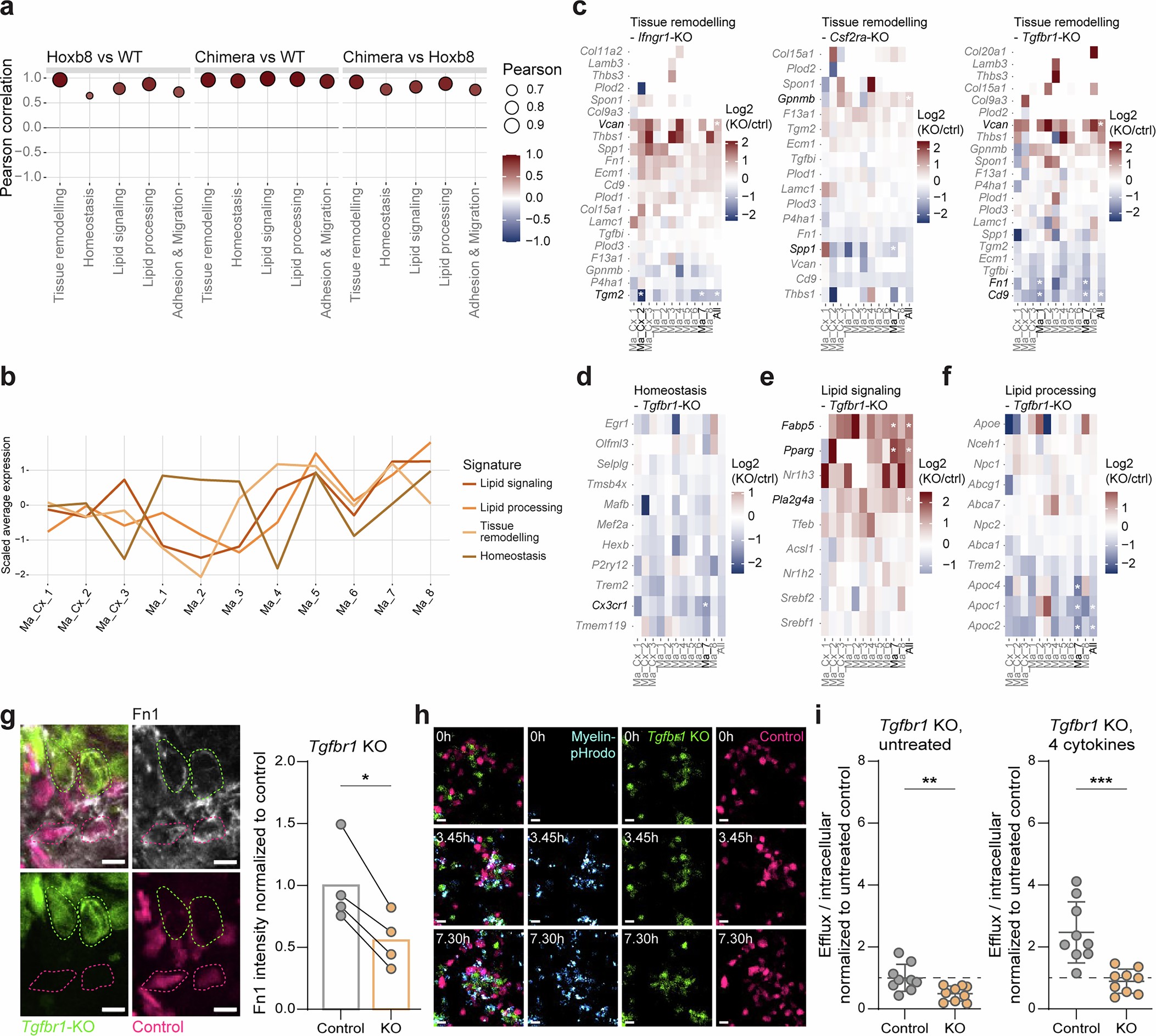 Extended Data Fig. 7