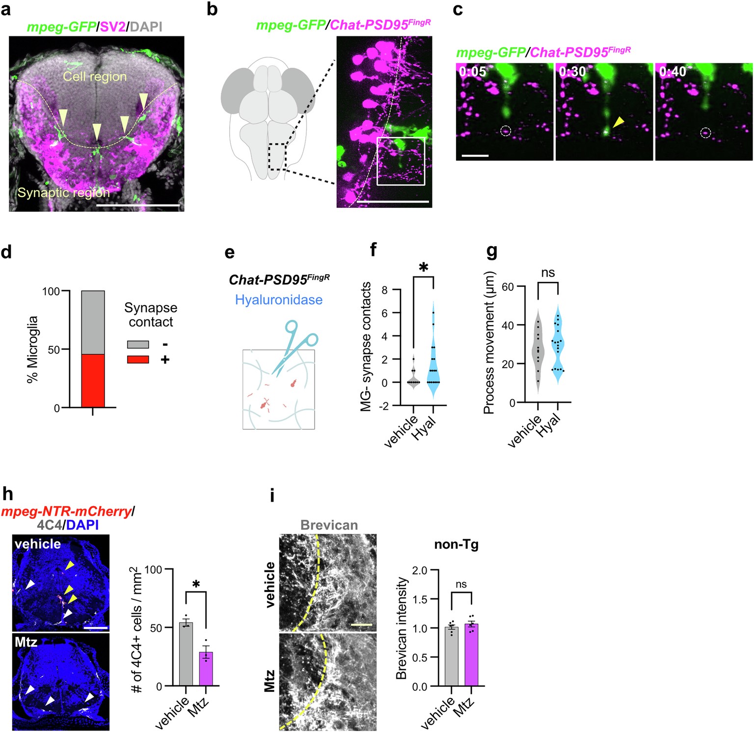 Extended Data Fig. 5
