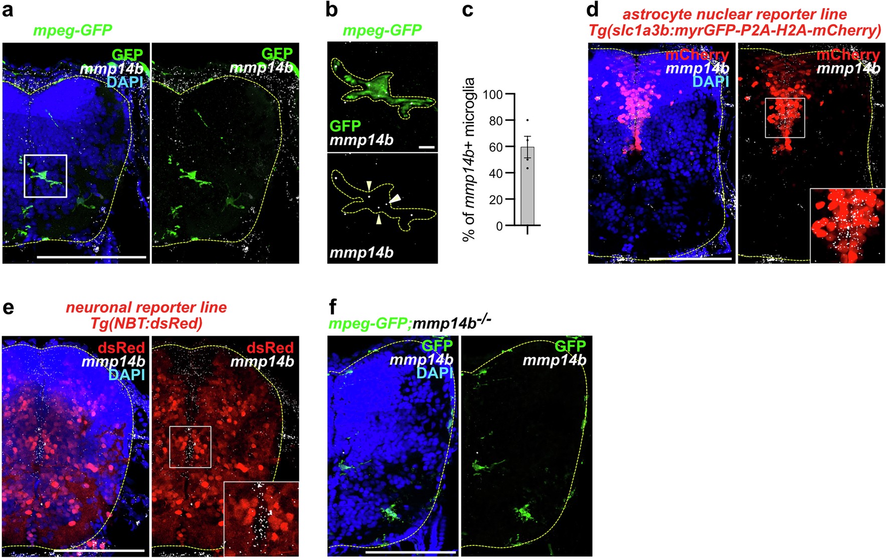 Extended Data Fig. 6