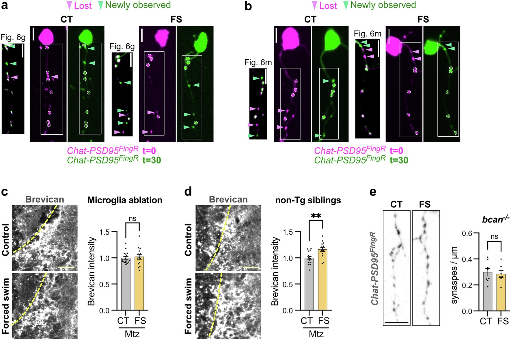 Extended Data Fig. 9