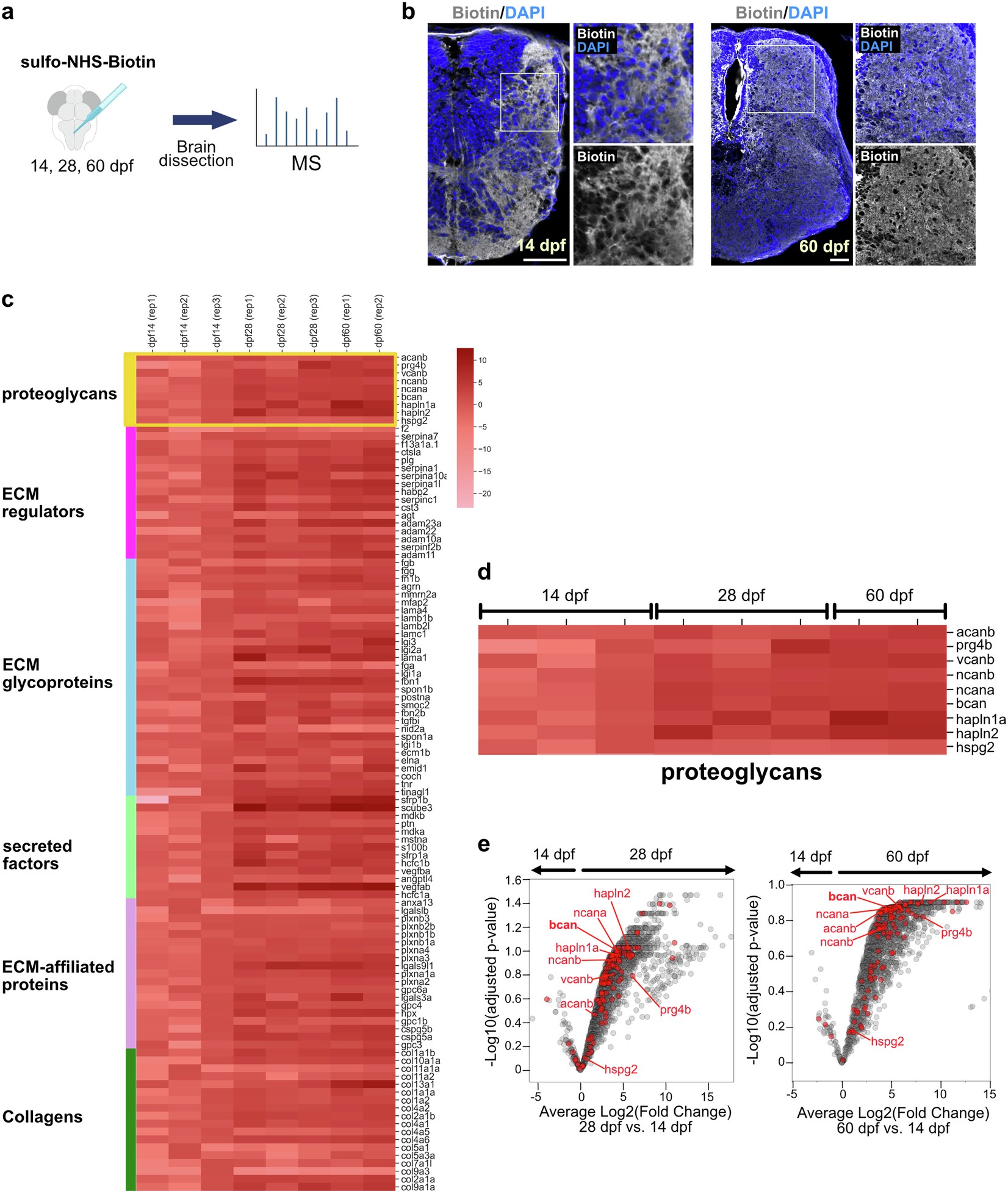 Extended Data Fig. 1