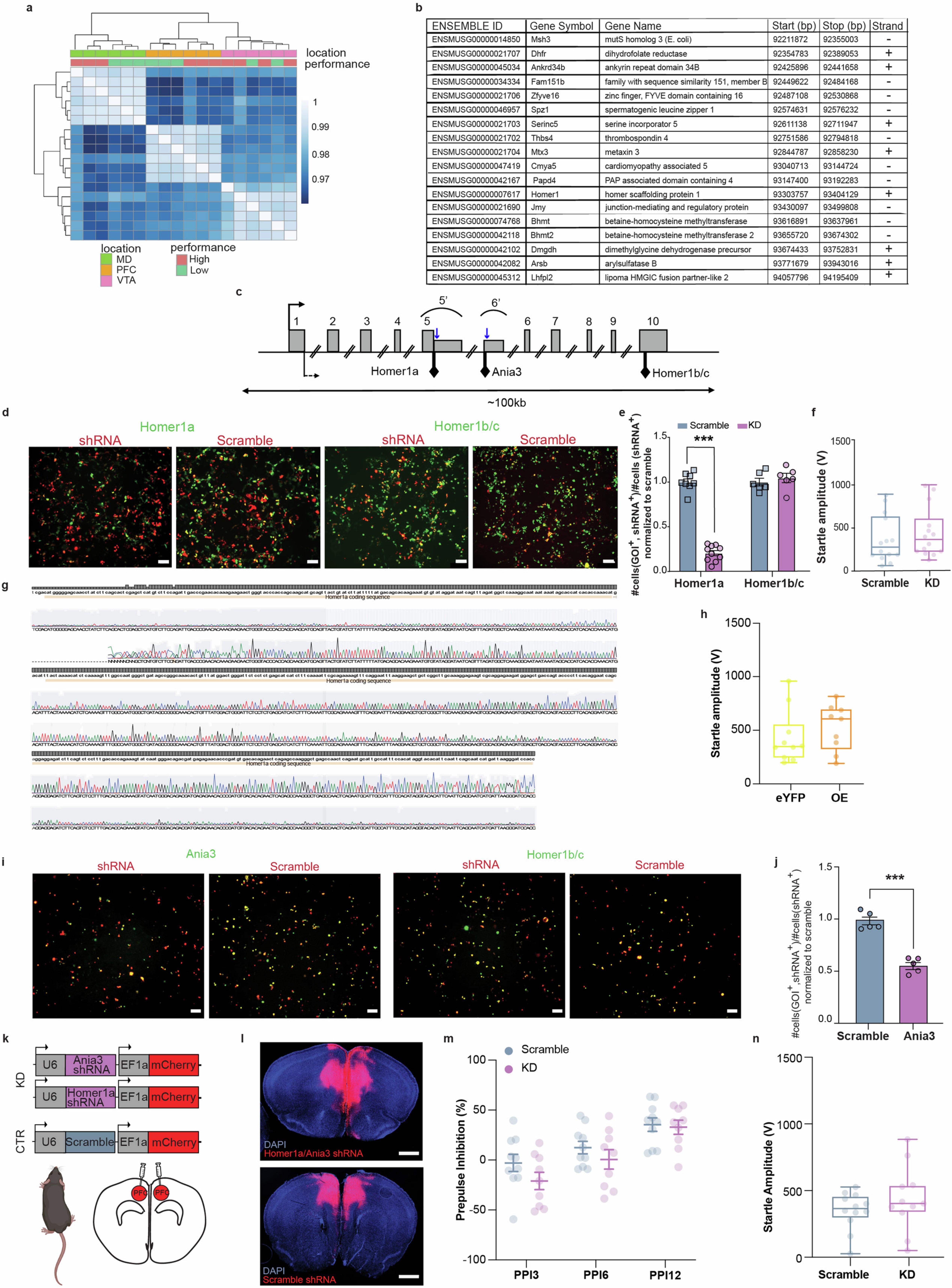 Extended Data Fig. 3: Further DO RNA-seq information, Homer1 exons, in vitro validation & additional behavioral characterization of Homer1 manipulations.